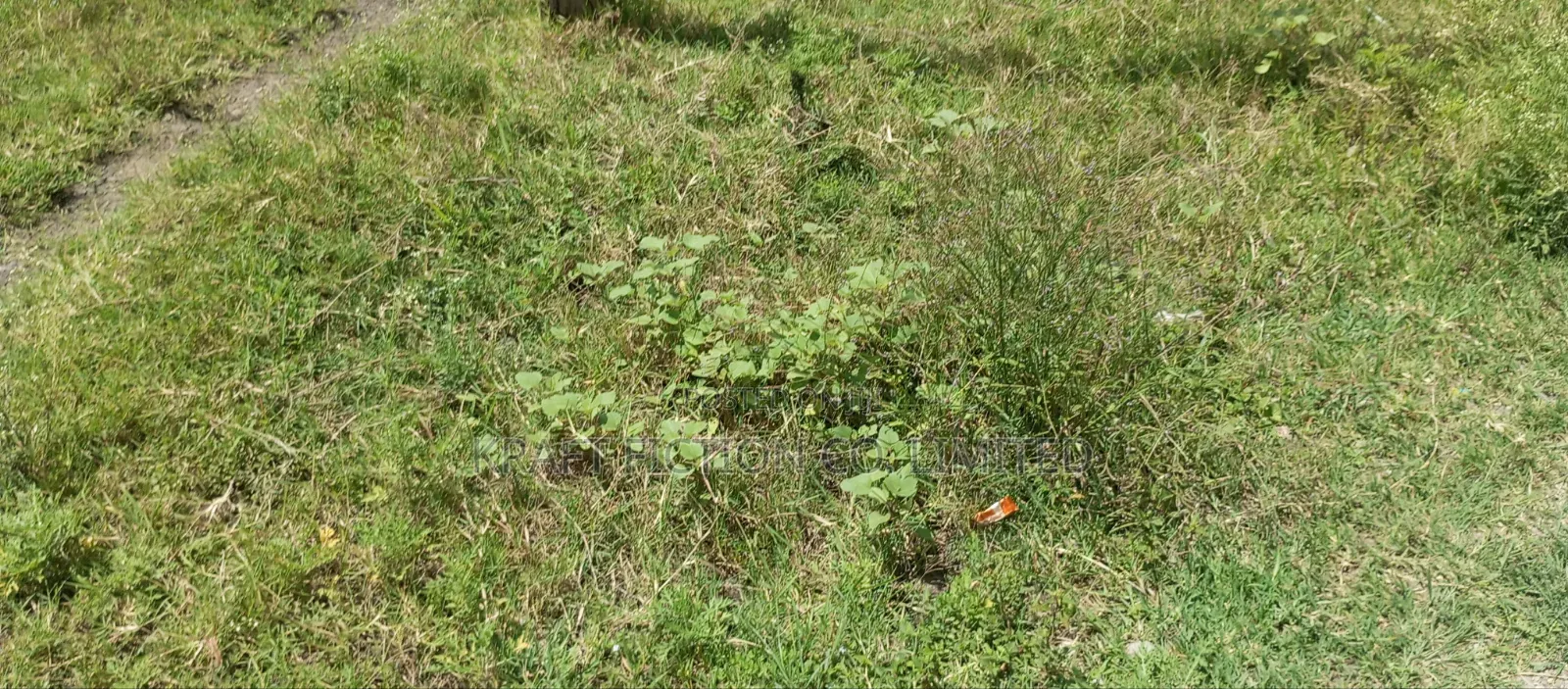 Prime Residential Land for Sale in Syokimau in Gateway Mall Area