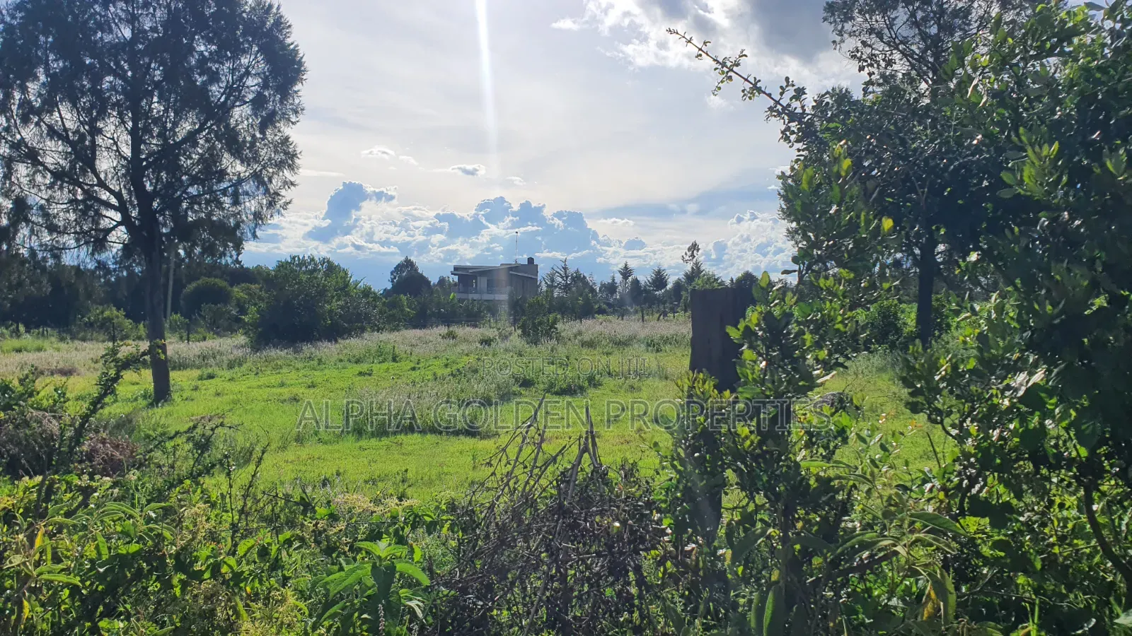 Quick Sale 1 Acrea Near Mt Kenya in Nanyuki