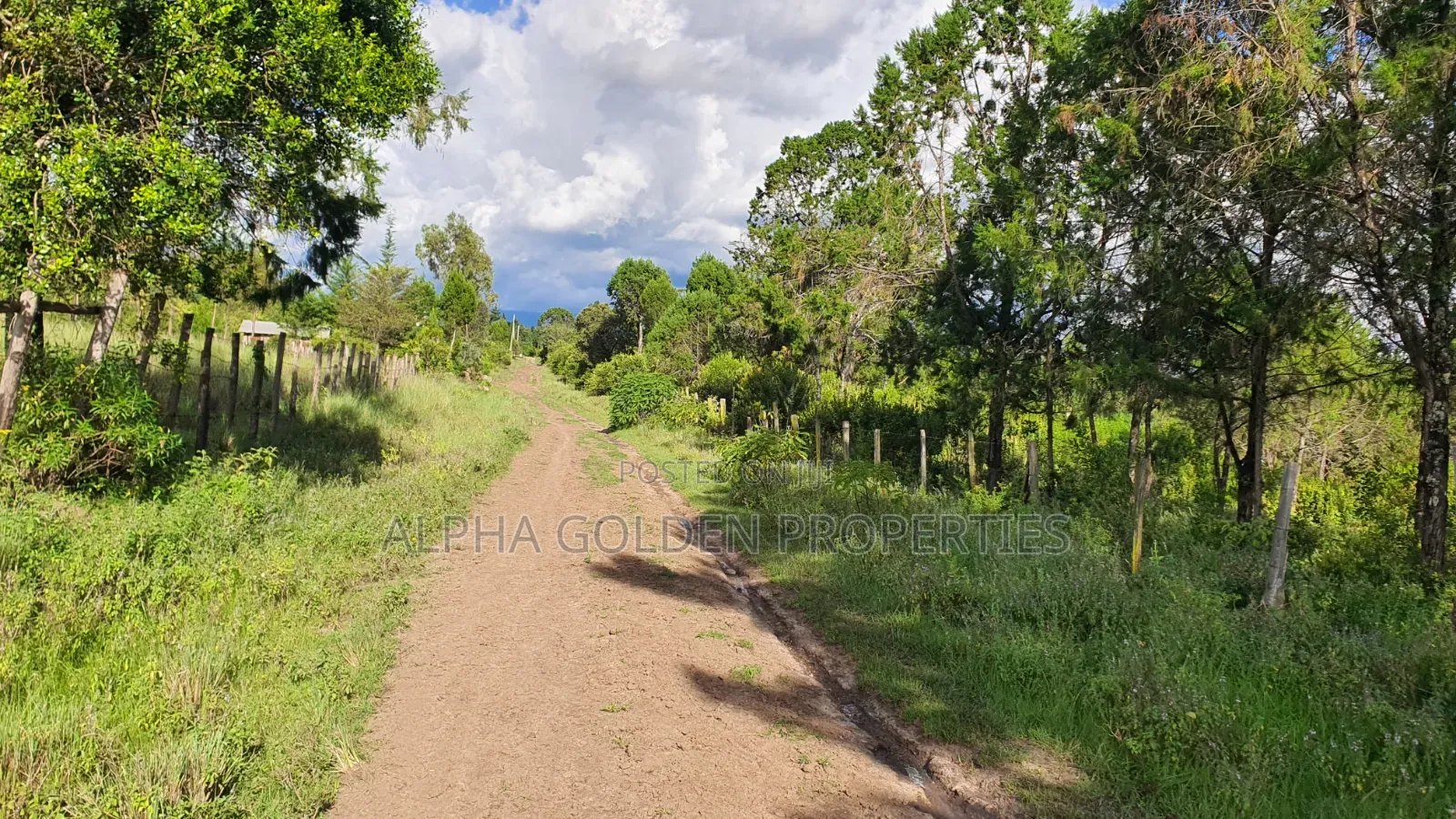 Quick Sale 1 Acrea Near Mt Kenya in Nanyuki