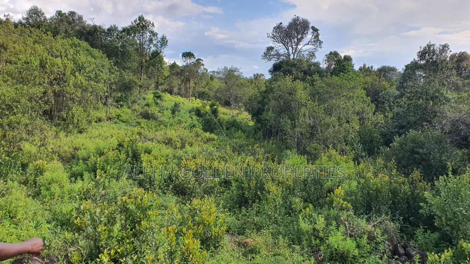Quick Sale 1 Acrea Near Mt Kenya in Nanyuki