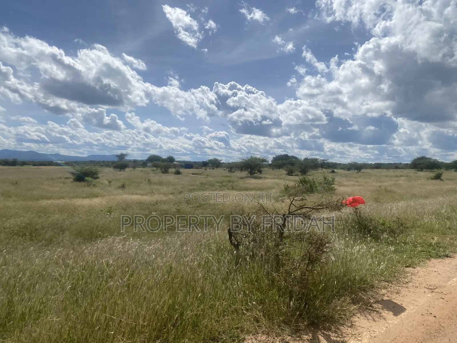 Land for Sale,Mashuru in Imaroro