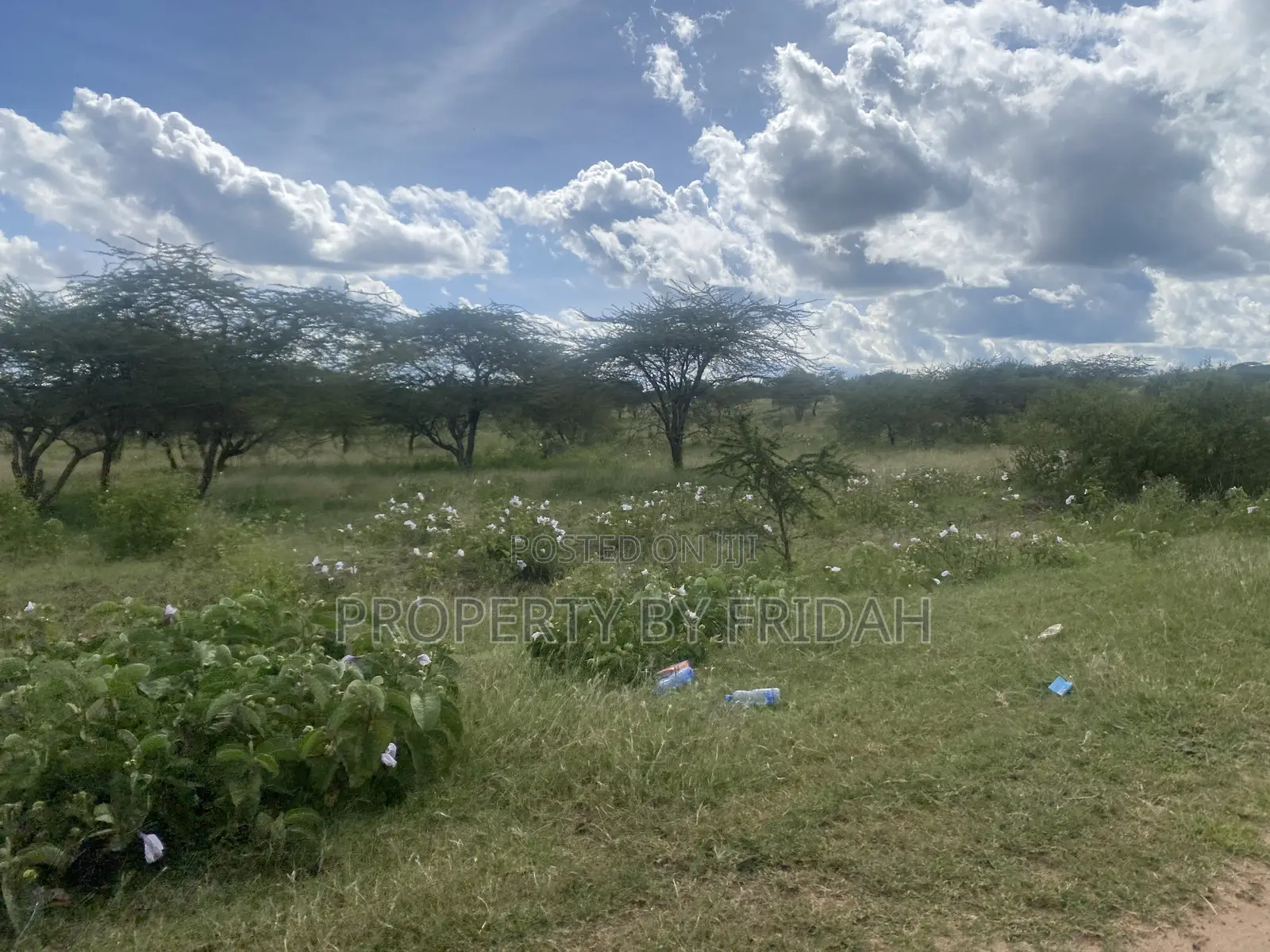 Acres for Sale in Mashuru Kajiado County in Imaroro