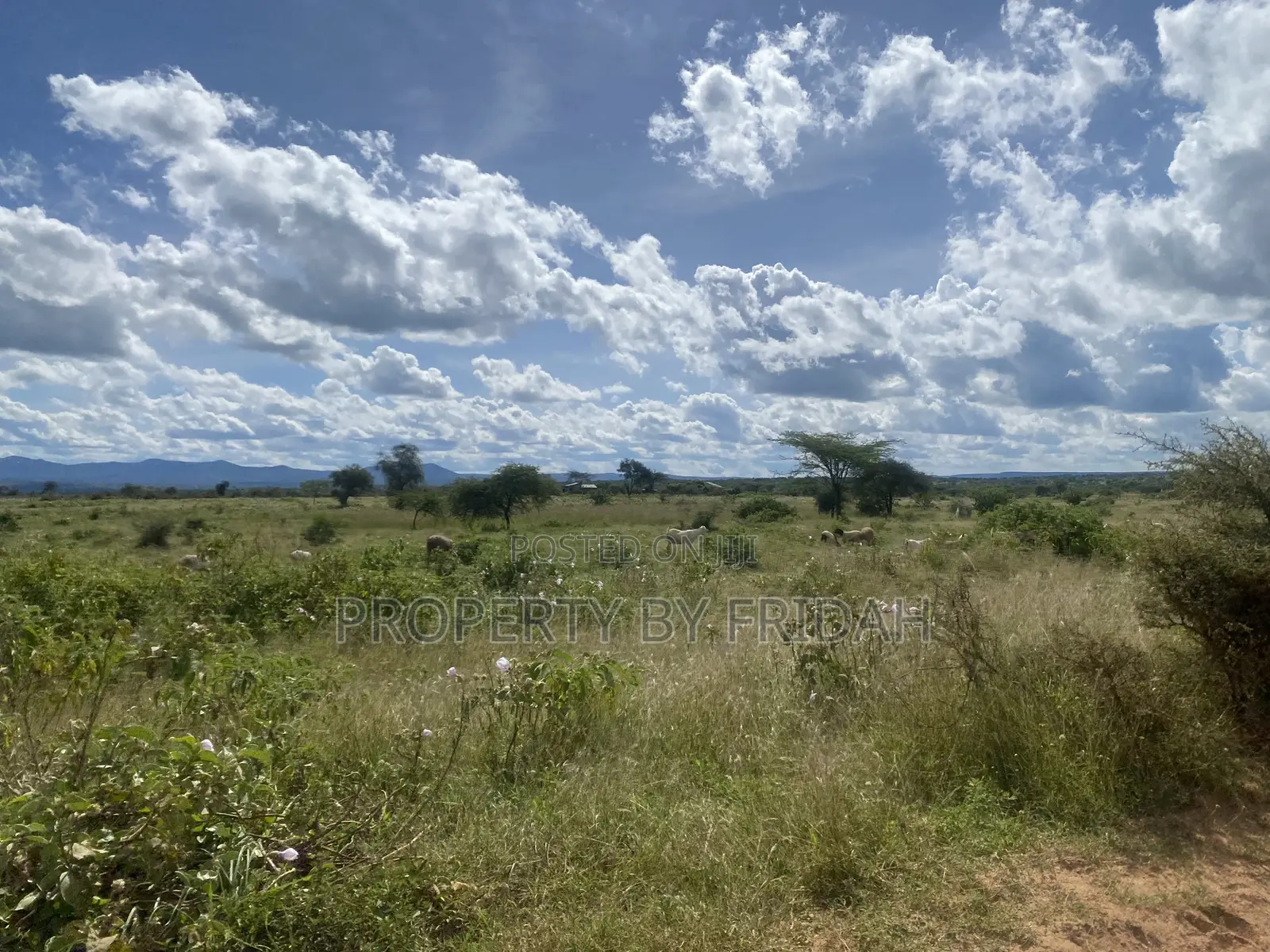 Acres for Sale in Mashuru Kajiado County in Imaroro