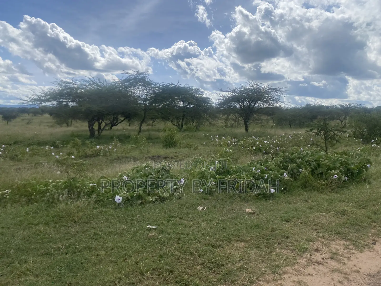 Acres for Sale in Mashuru Kajiado County in Imaroro