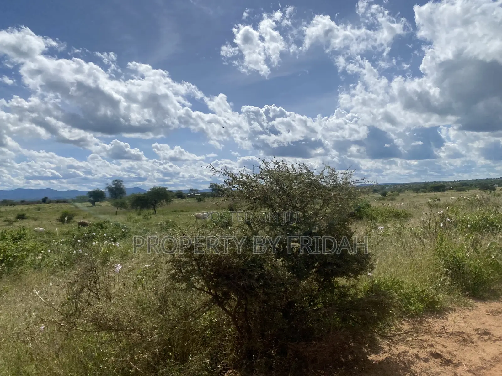 Acres for Sale in Mashuru Kajiado County in Imaroro