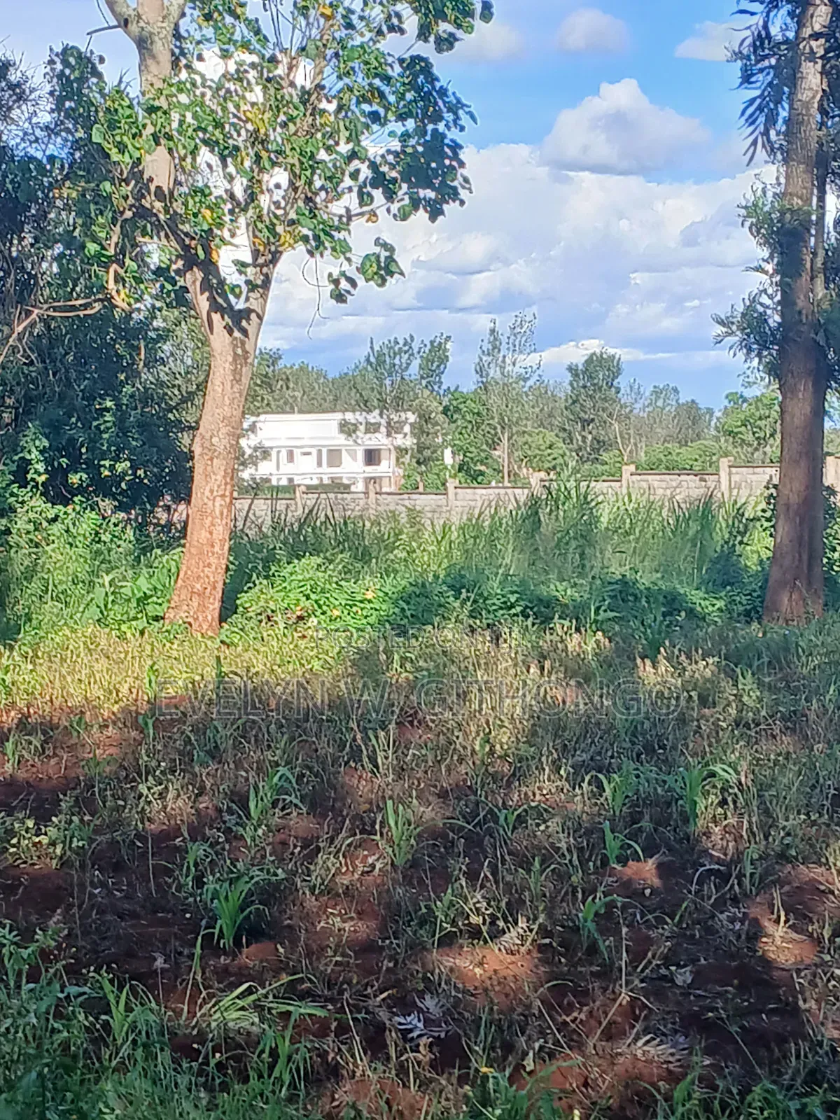 Thika Greens Prime Land 100/100 in Thika CBD