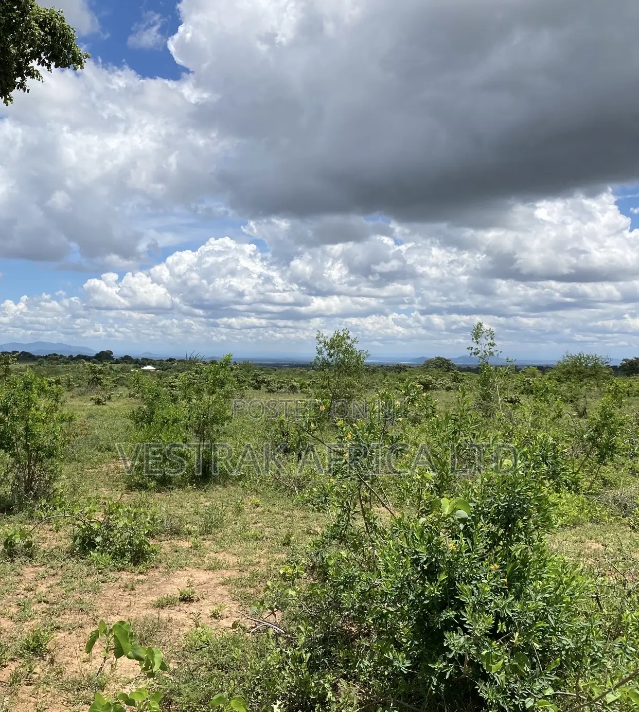 Matuu Plots for Sale in Masinga Central