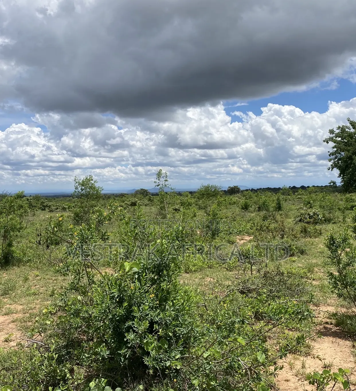 Matuu Plots for Sale in Masinga Central