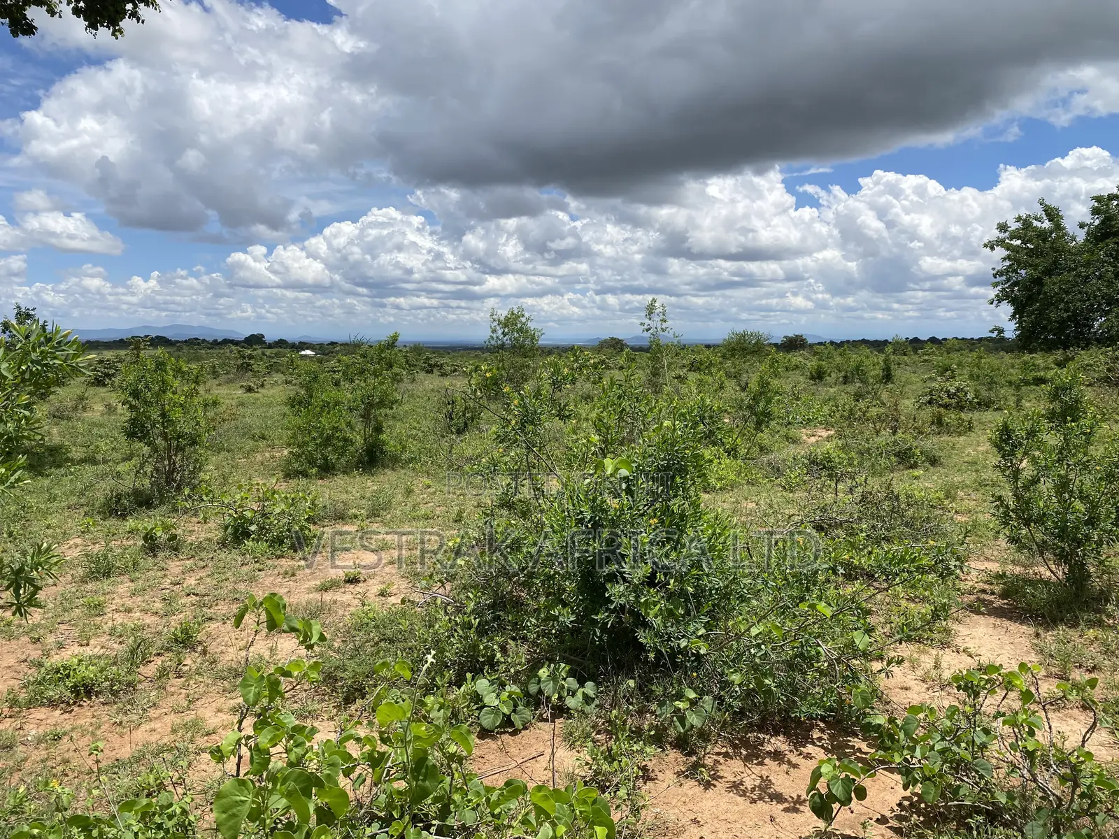 Kithimani Agribusiness Parcels for Sale in Masinga Central