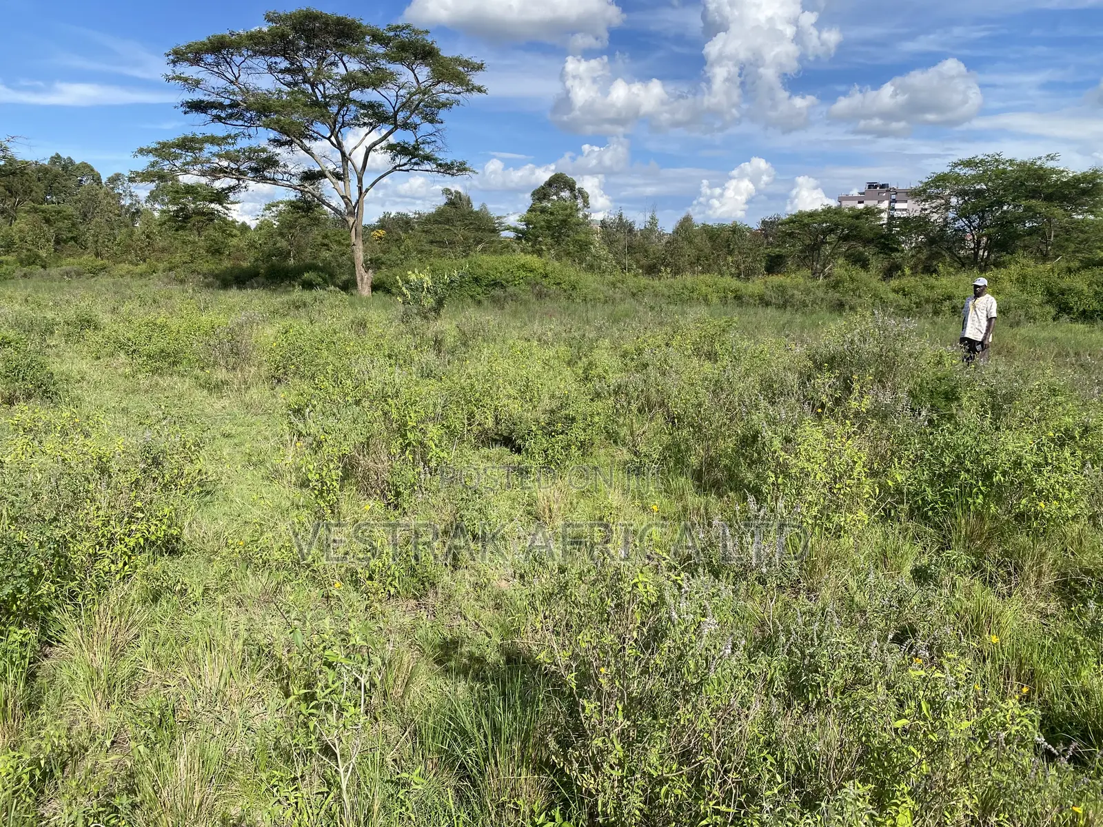 Kithimani Agribusiness Parcels for Sale in Masinga Central