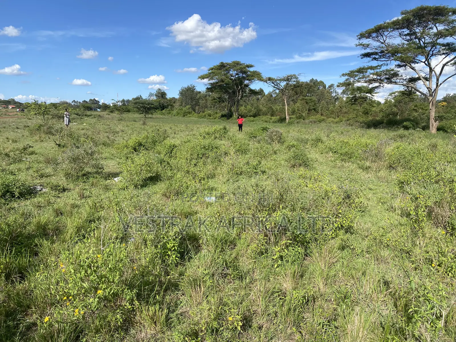 Kithimani Agribusiness Parcels for Sale in Masinga Central