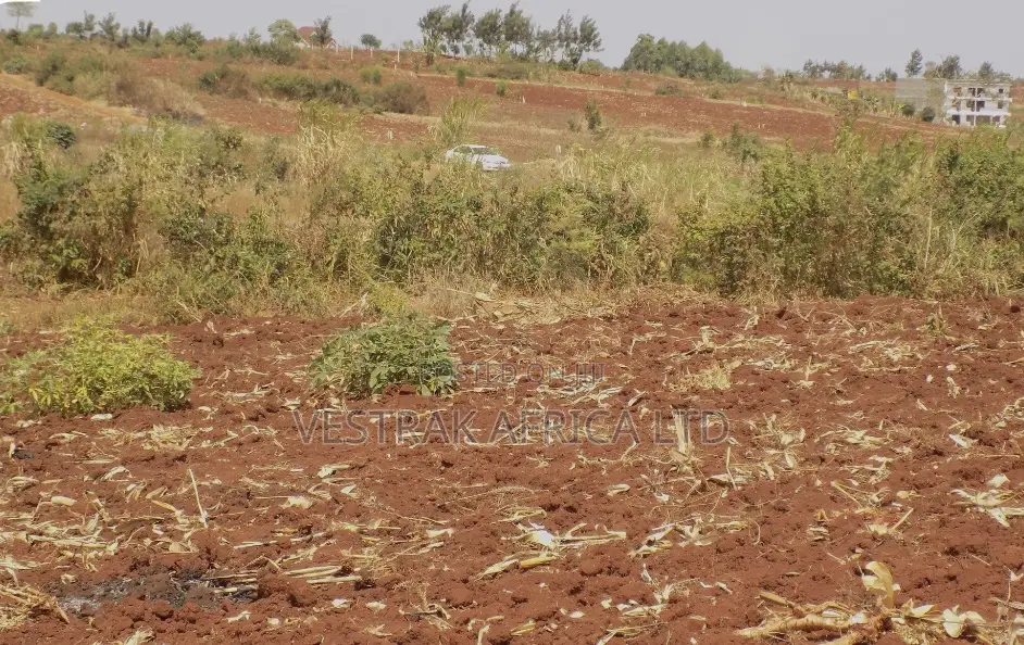 Kangema LTD Prime Plots in Mugumo-Ini