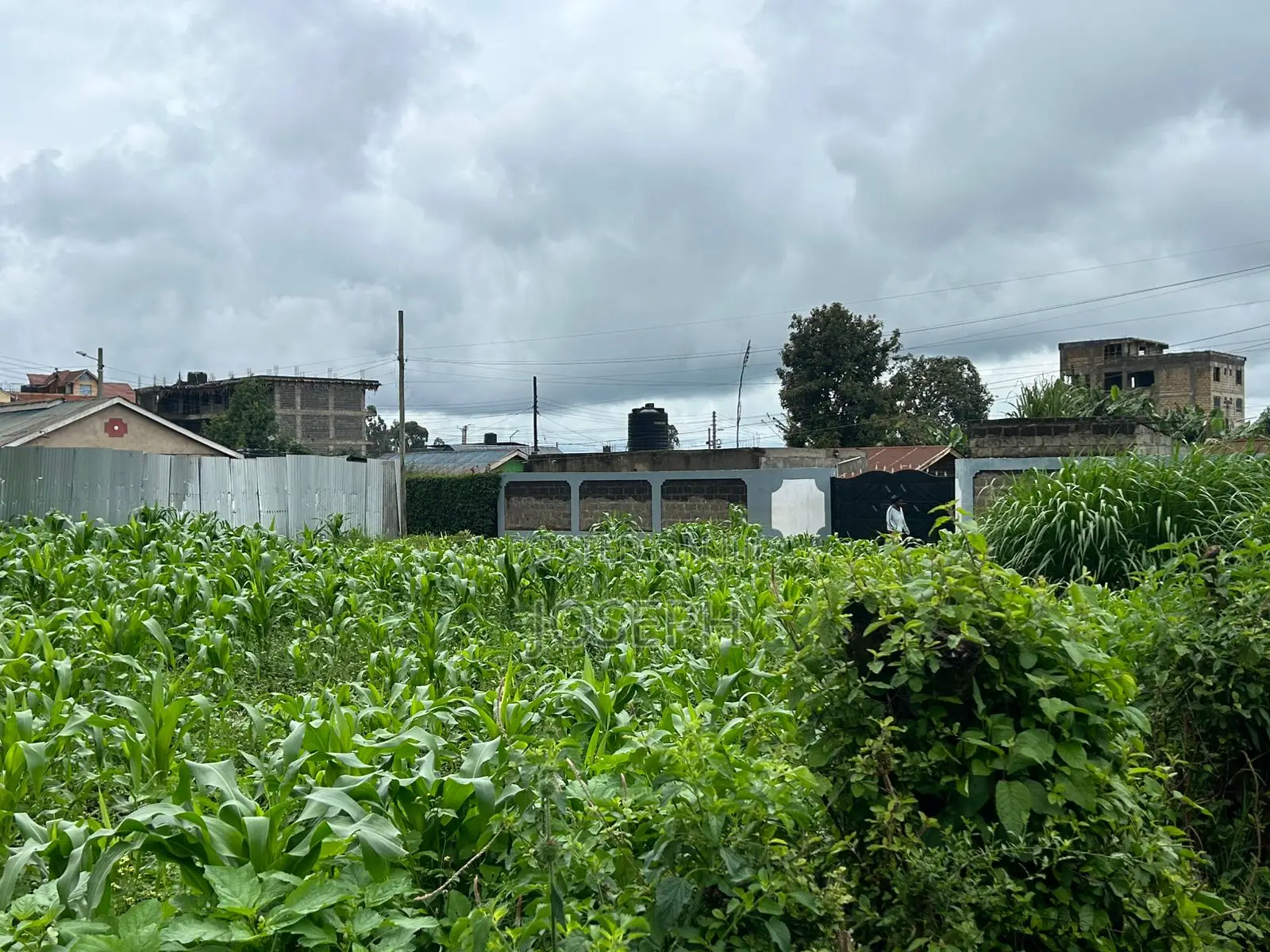 Gikambura Thogoto 1/4acre for Redevelopment in Thogoto