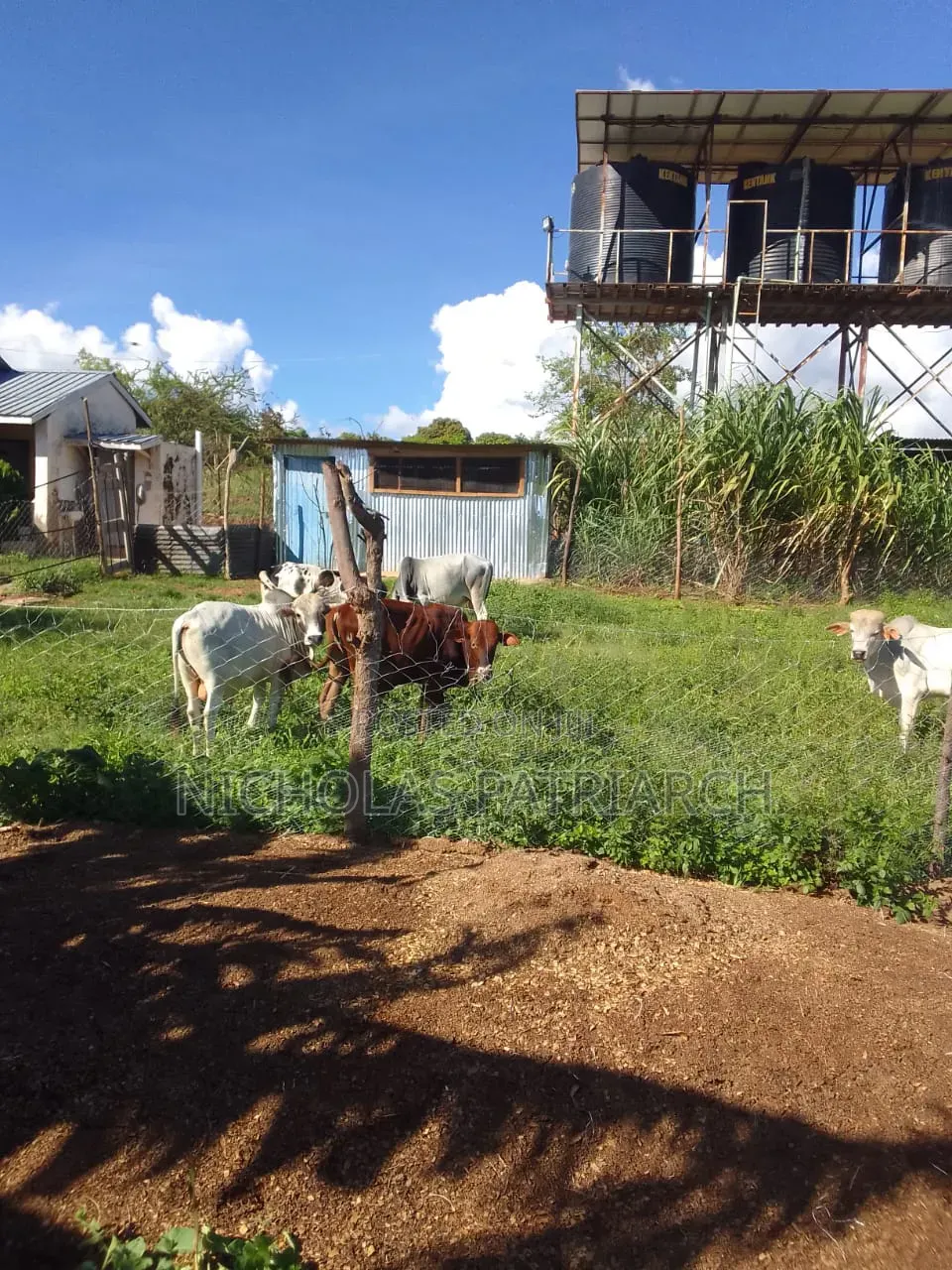 5 Acres Farm Machakos -Wamunyu Selling at 16m in Wamunyu