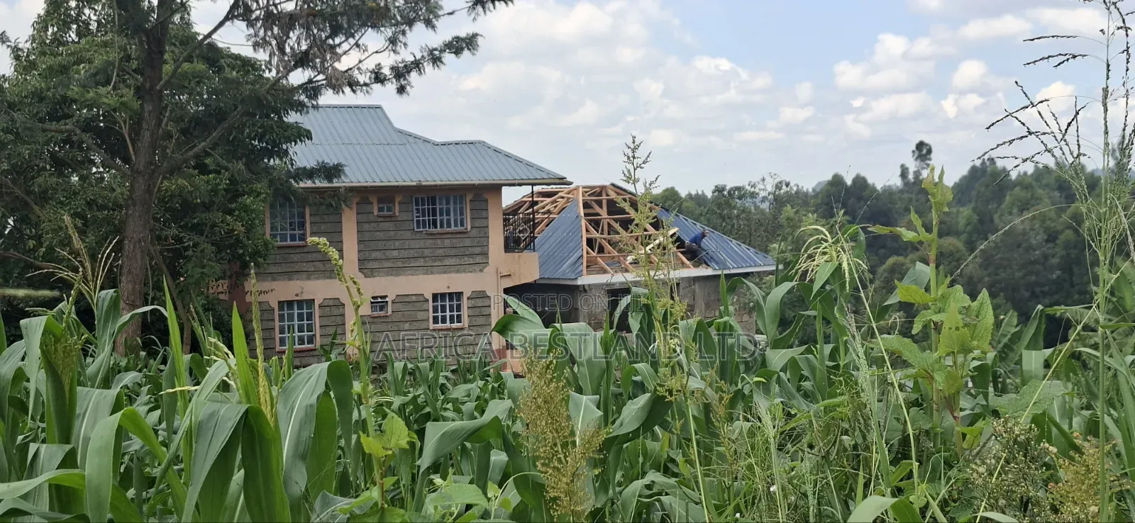 Prime 50x100 Plot for Sale – Kabete Kibiciku in Wangige