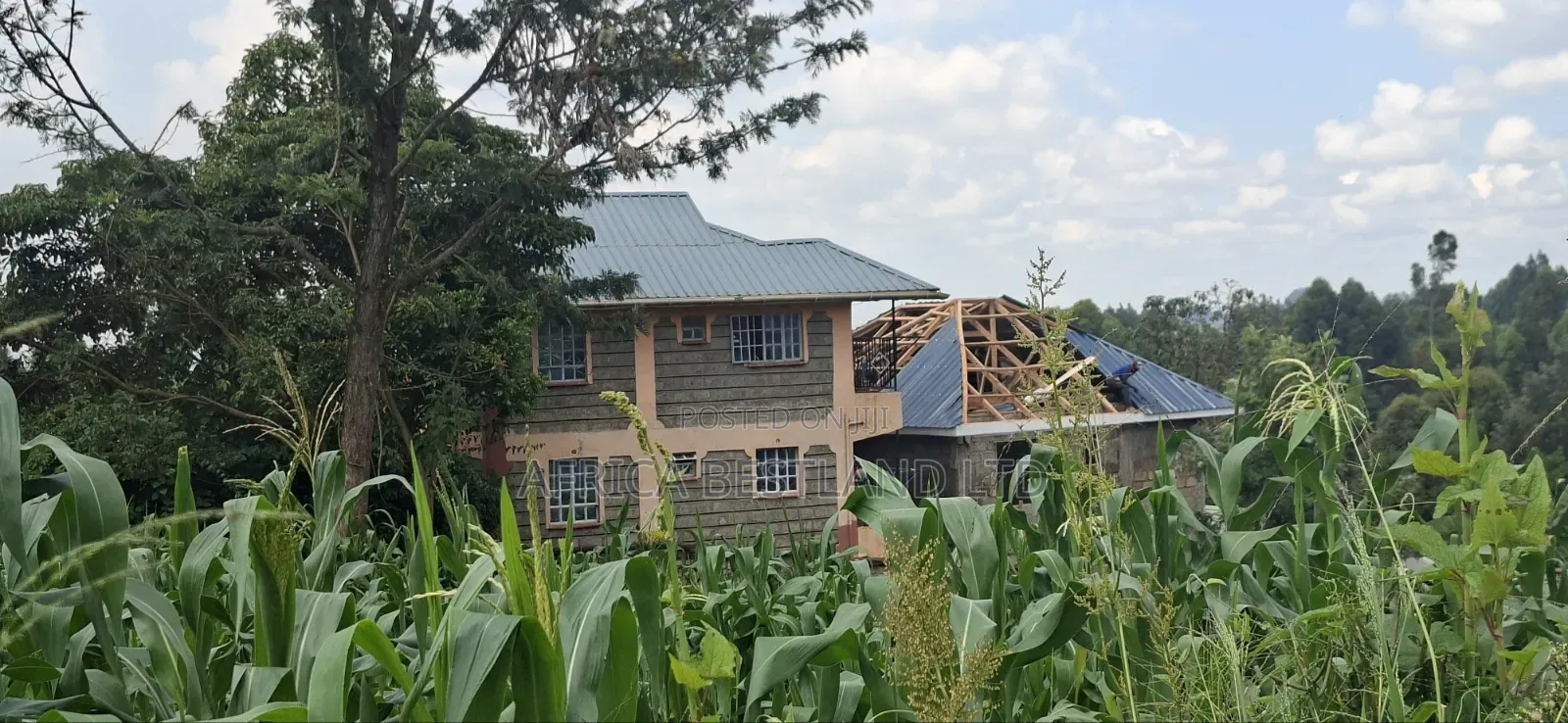 Prime 50x100 Plot for Sale – Kabete Kibiciku in Wangige