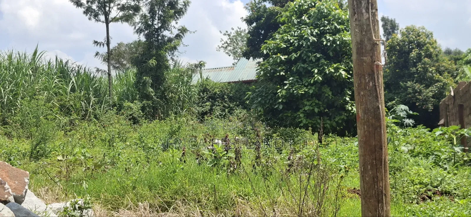 Prime 50x100 Plot for Sale – Kabete Kibiciku in Wangige