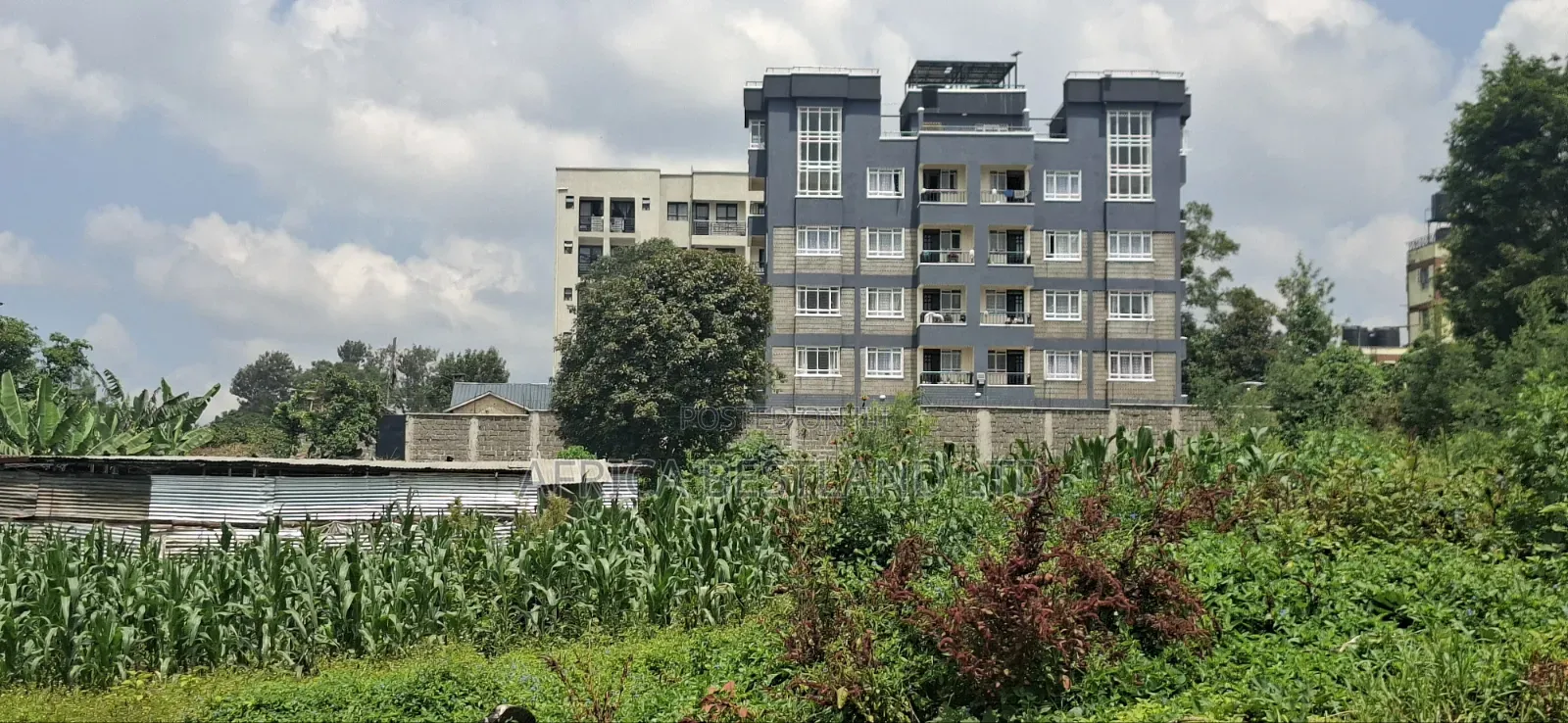 Slightly Less Than 1/2 Acre Land For in Wangige