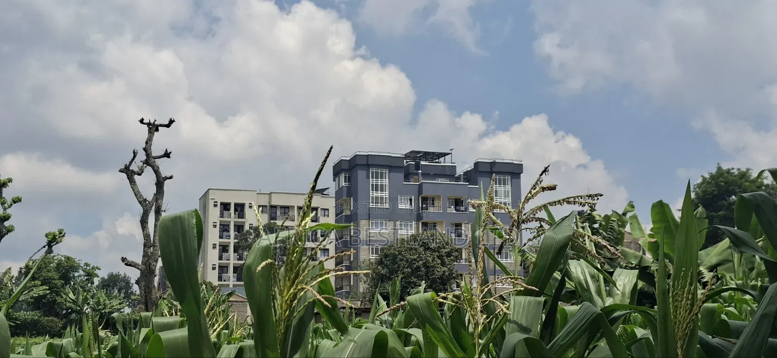 Slightly Less Than 1/2 Acre Land For in Wangige