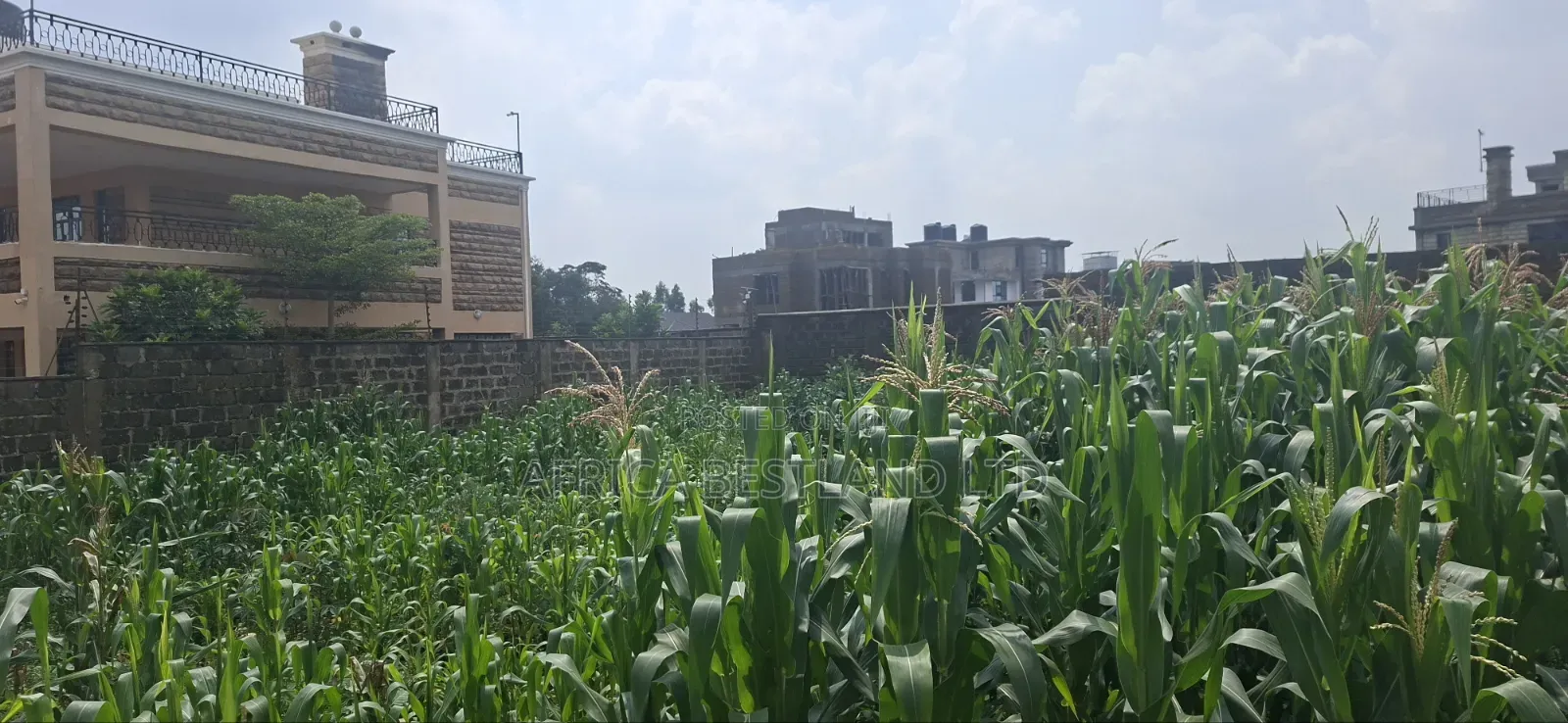 Prime 0.01 Residential Plot for Sale – Kikuyu Gikambura, Kiambu County in Karai