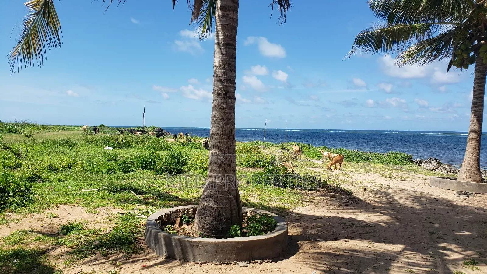 1 Acre Beachplot in Malindi, Kilifi for Sale in Malindi