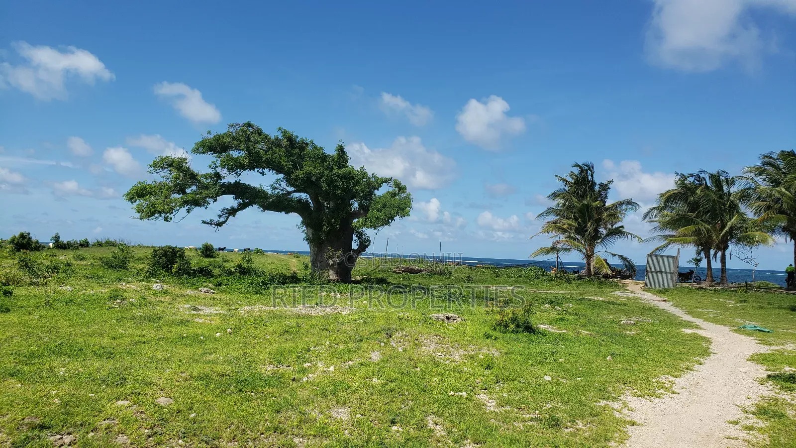 1 Acre Beachplot in Malindi, Kilifi for Sale in Malindi
