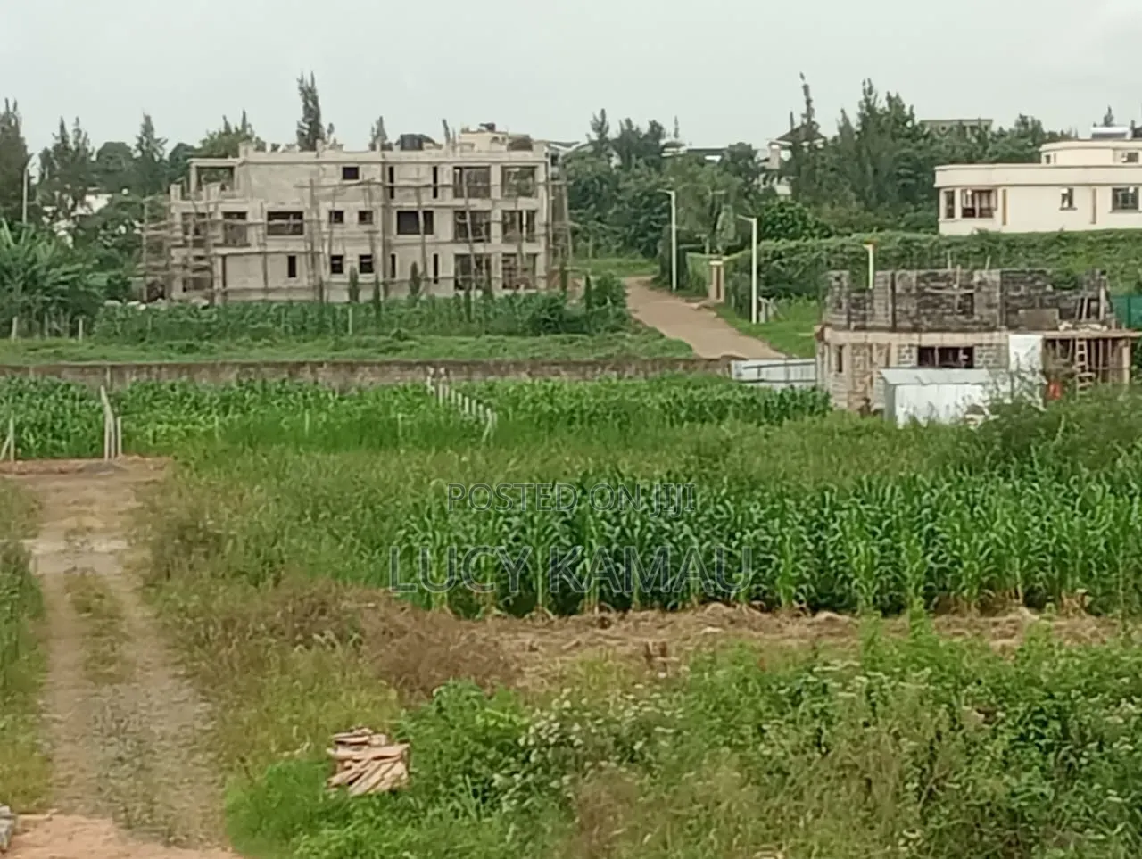 Prime 50x100 Gated Community Plots Kiambu Near Tatu City in Kiambu CBD