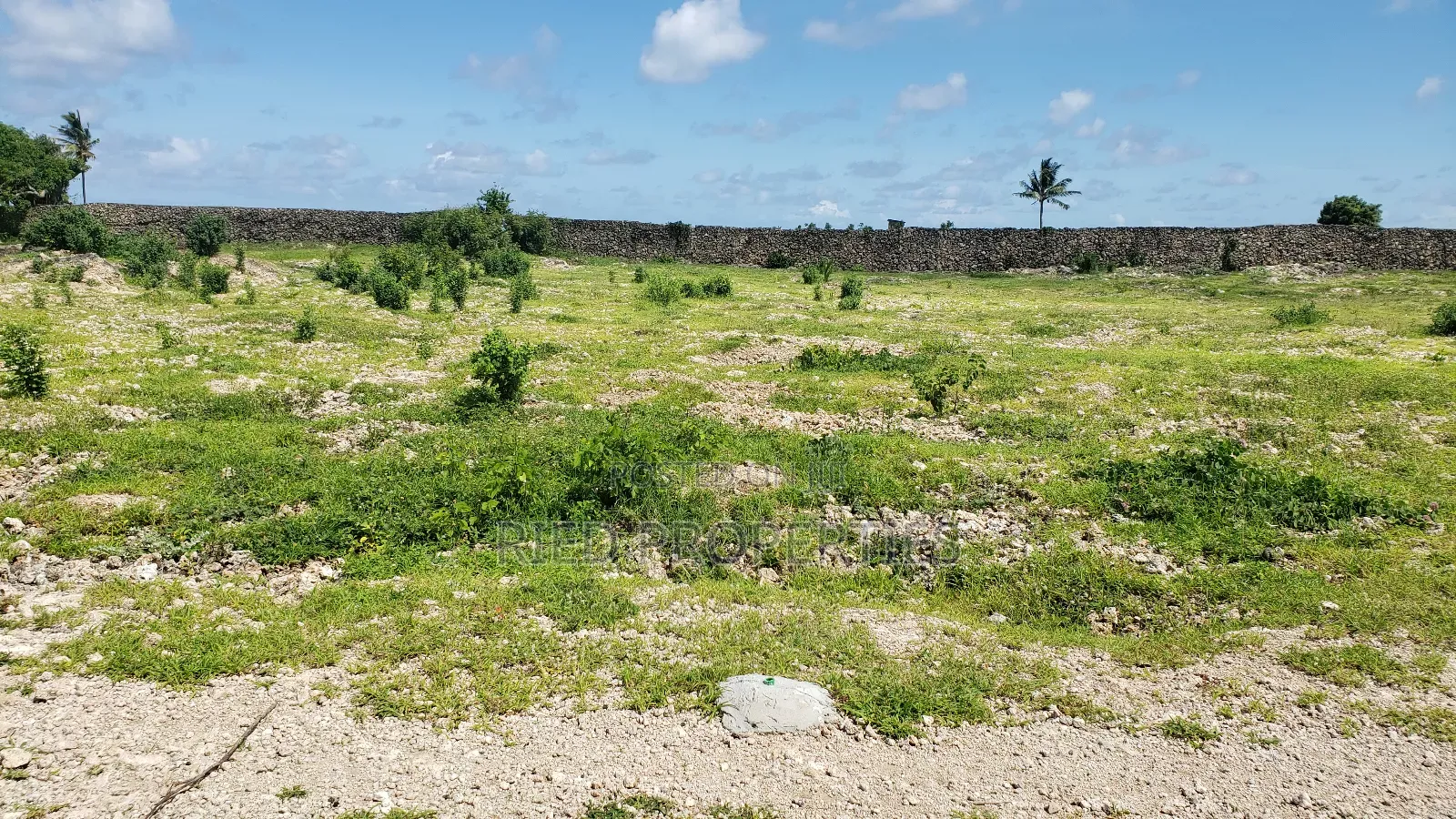 100by100 Beachplots in Malindi, Kilifi for Sale in Malindi