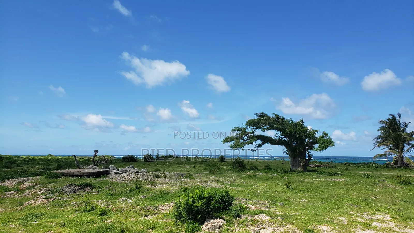 100by100 Beachplots in Malindi, Kilifi for Sale in Malindi