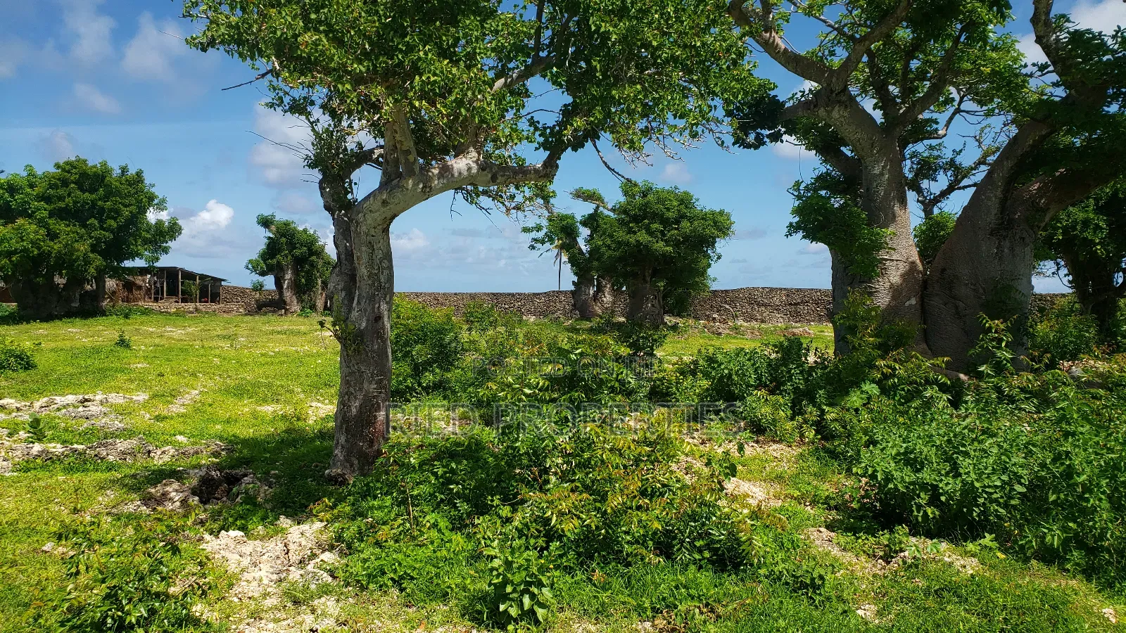 6.5 Acre Beachplot in Malindi, Kilifi for Sale in Malindi
