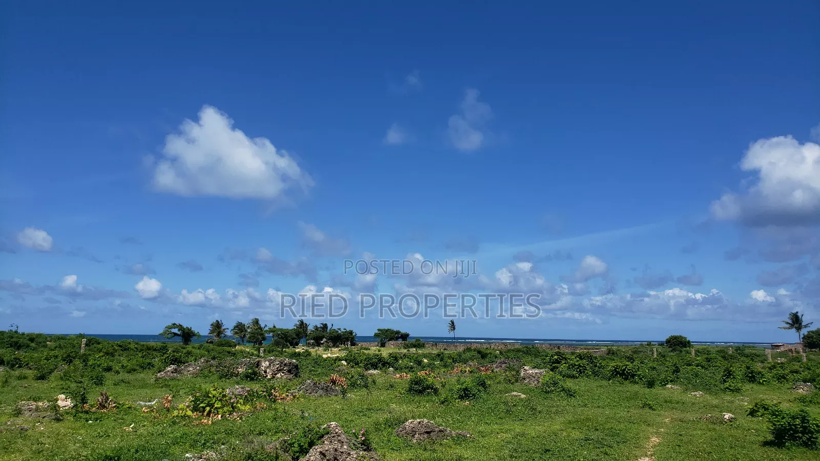 6.5 Acre Beachplot in Malindi, Kilifi for Sale in Malindi