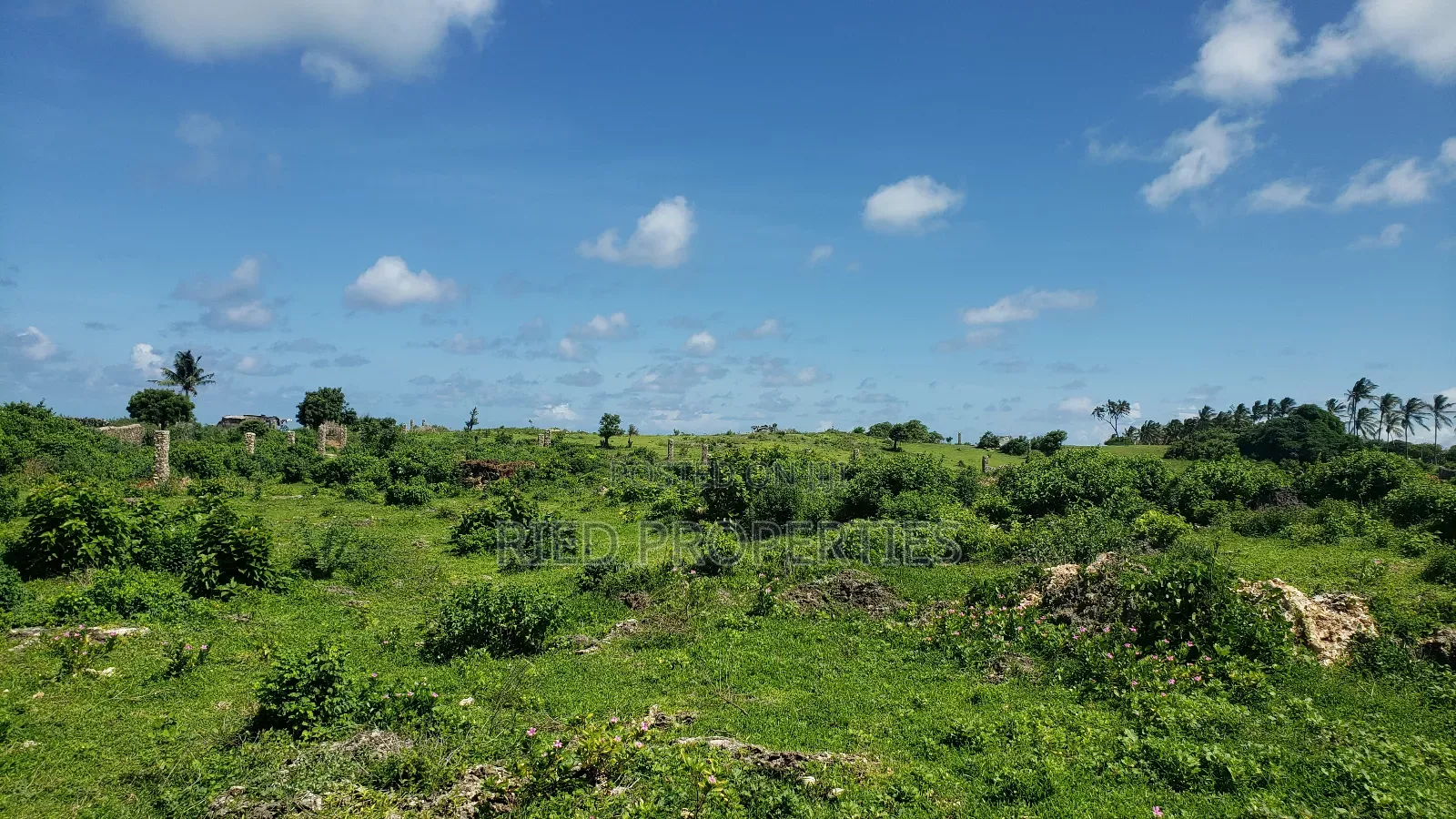 6.5 Acre Beachplot in Malindi, Kilifi for Sale in Malindi