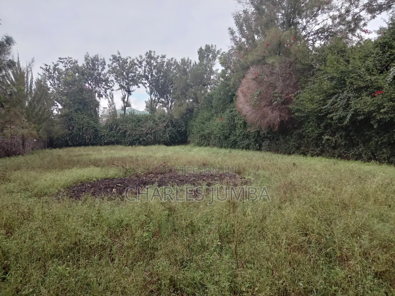 Prime Milimani Plot in Kitengela