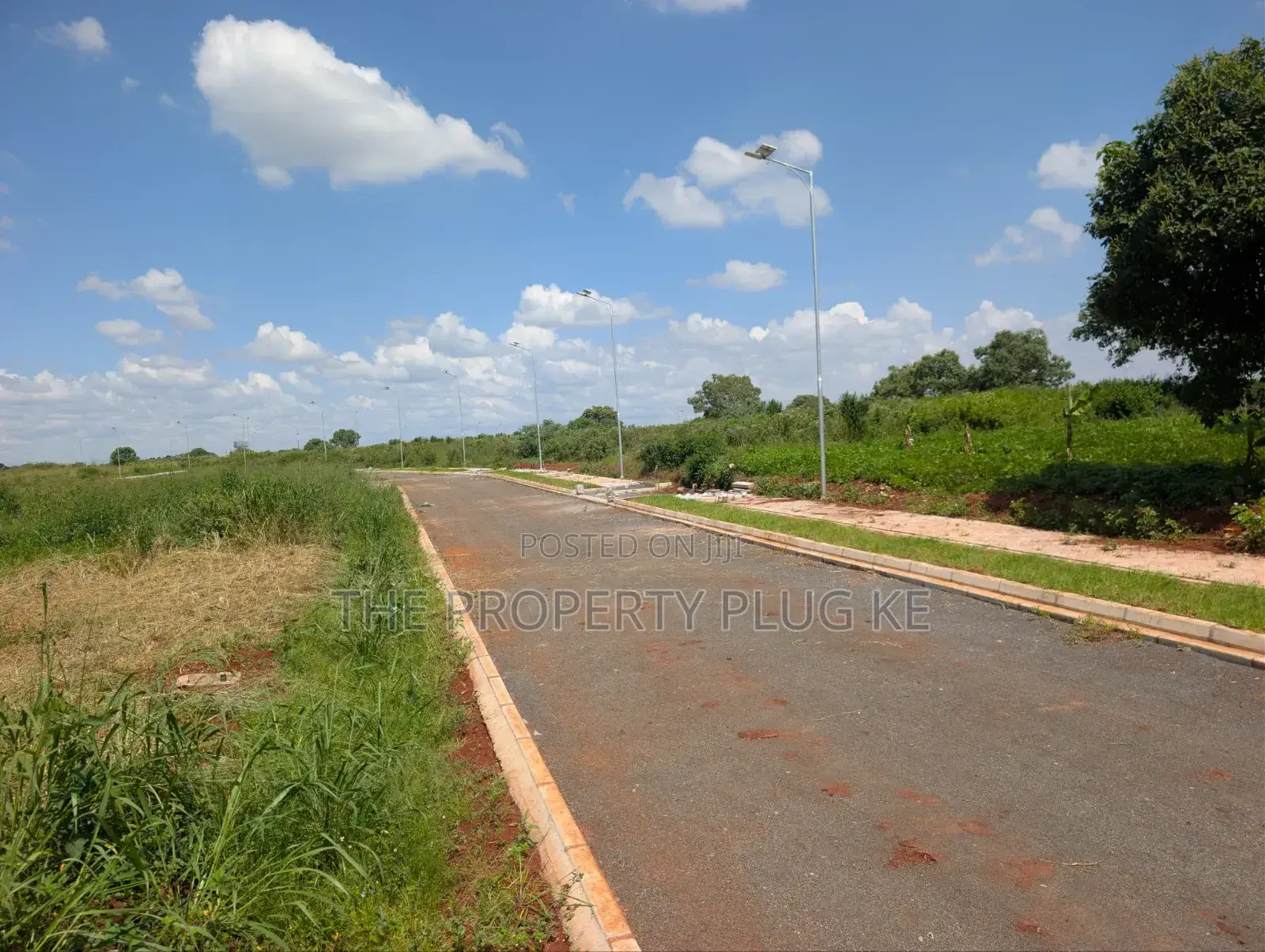 100 by 100 (1/4 Acre) Serviced Plots for Sale Kiambu in Kiambu / Kiambu 