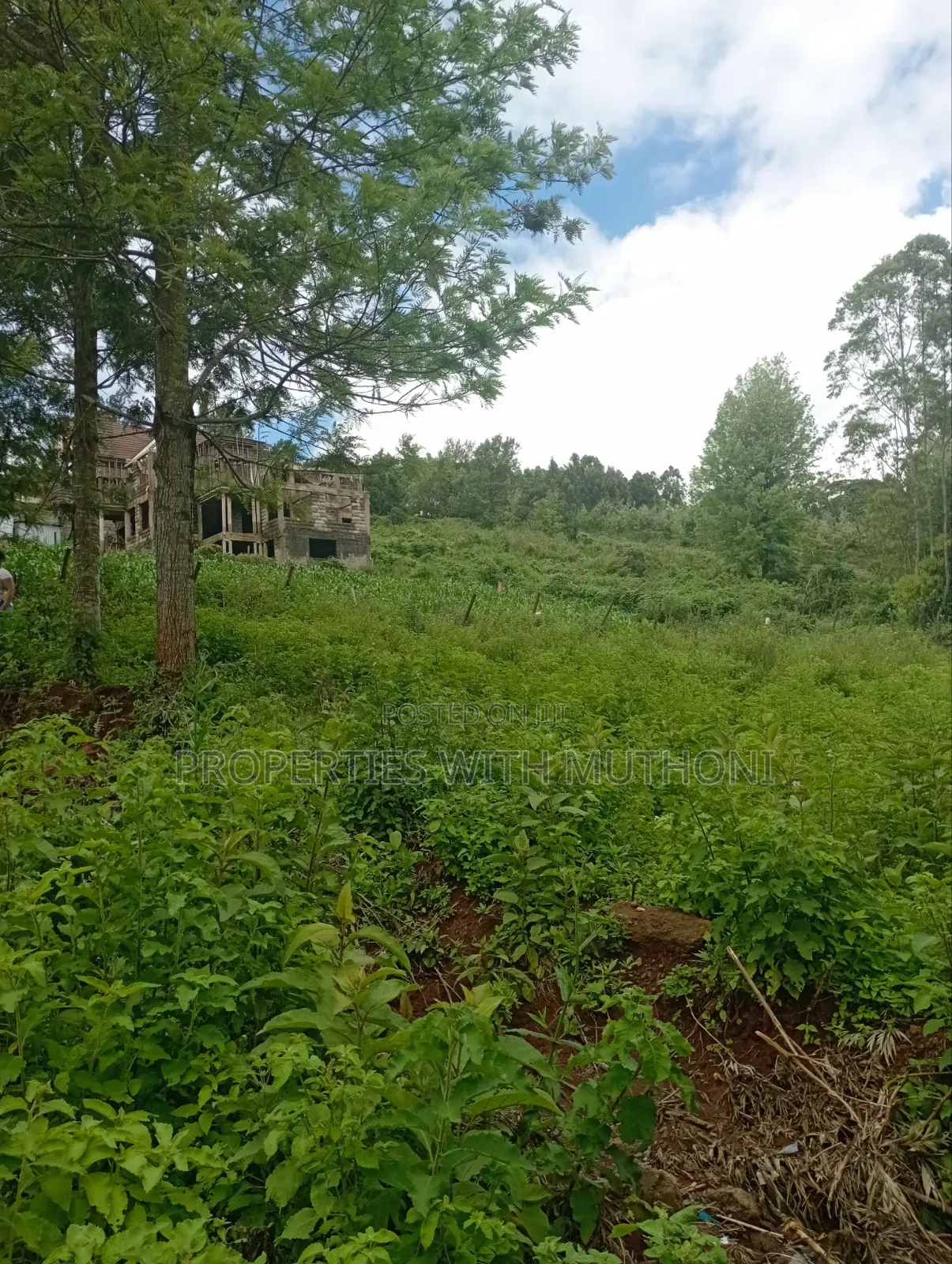 50×100 Plots in Kibiko Ngong. in Kibiku