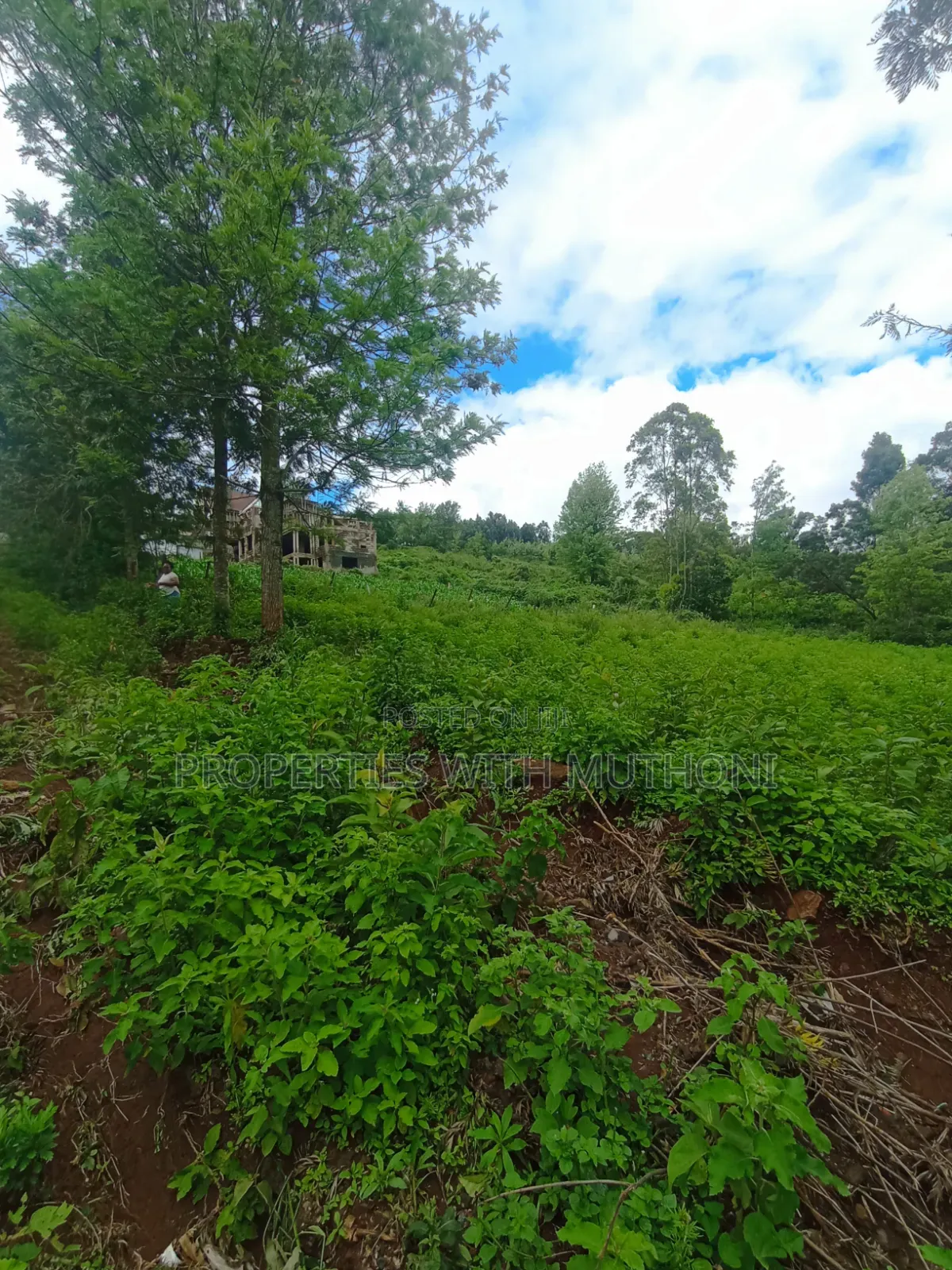50×100 Plots in Kibiko Ngong. in Kibiku