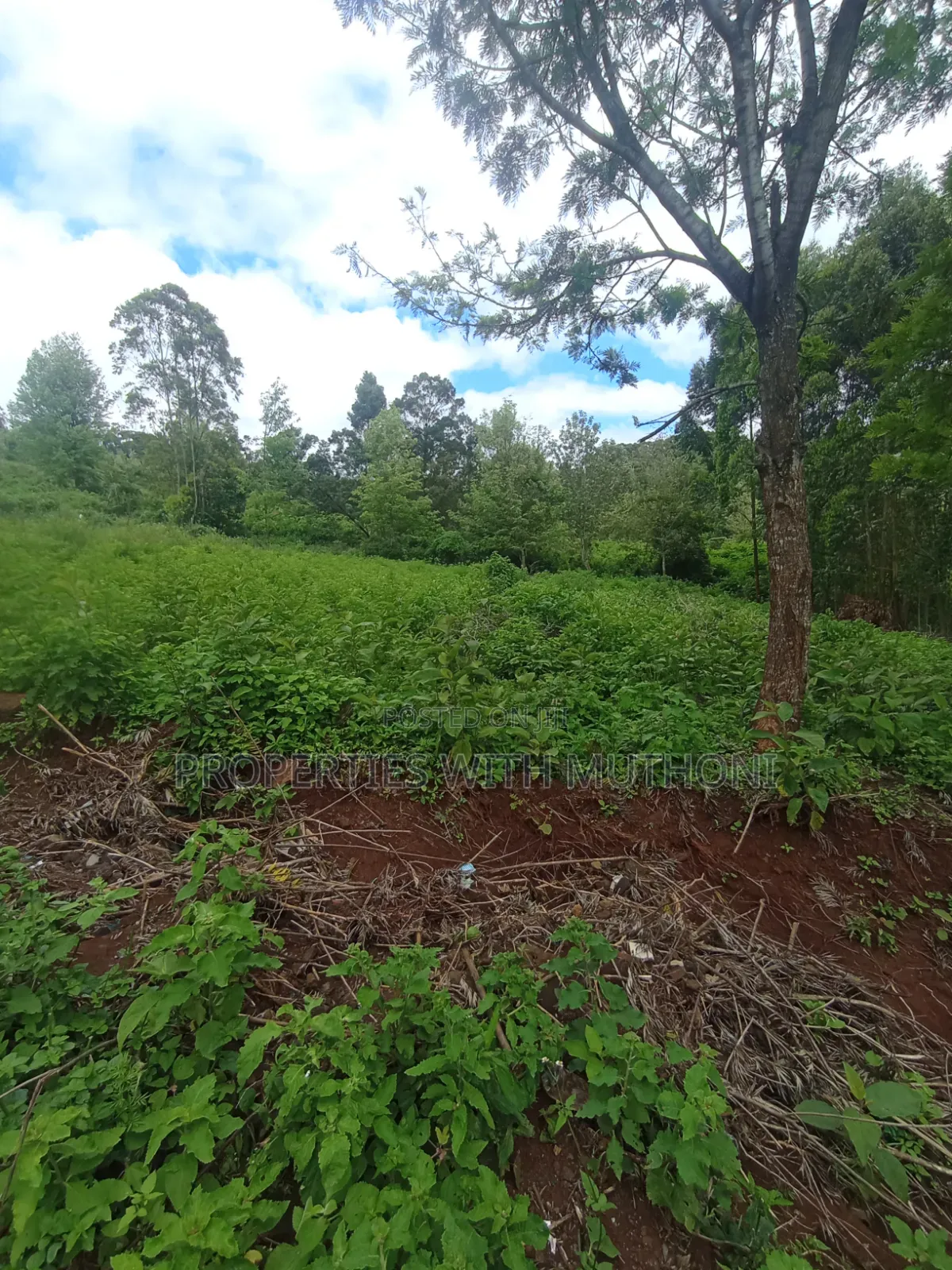 50×100 Plots in Kibiko Ngong. in Kibiku
