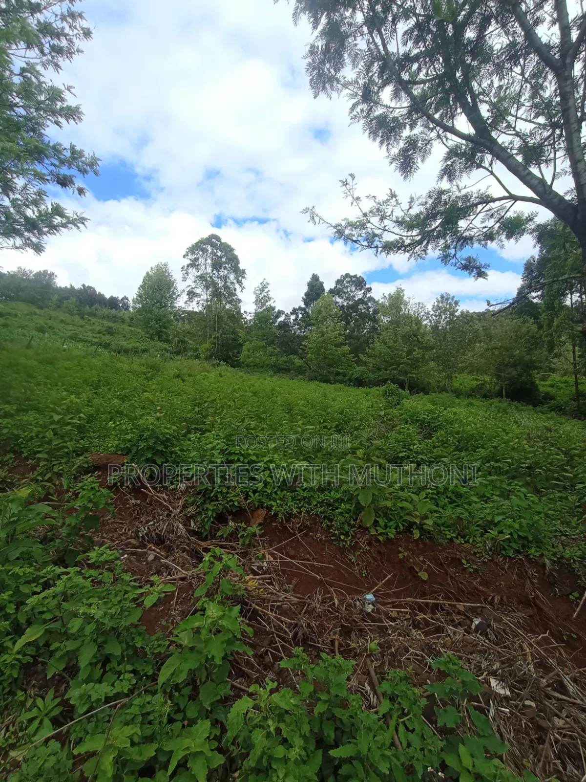 50×100 Plots in Kibiko Ngong. in Kibiku