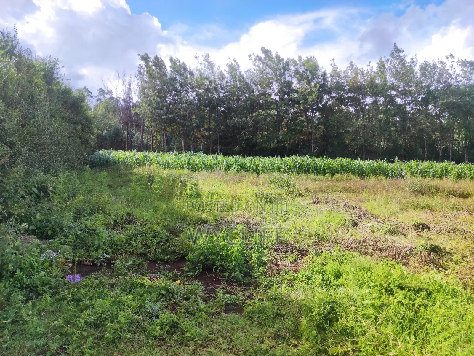 Plot (1⁄8) for Sale in Kibiko, Ngong in Kibiku