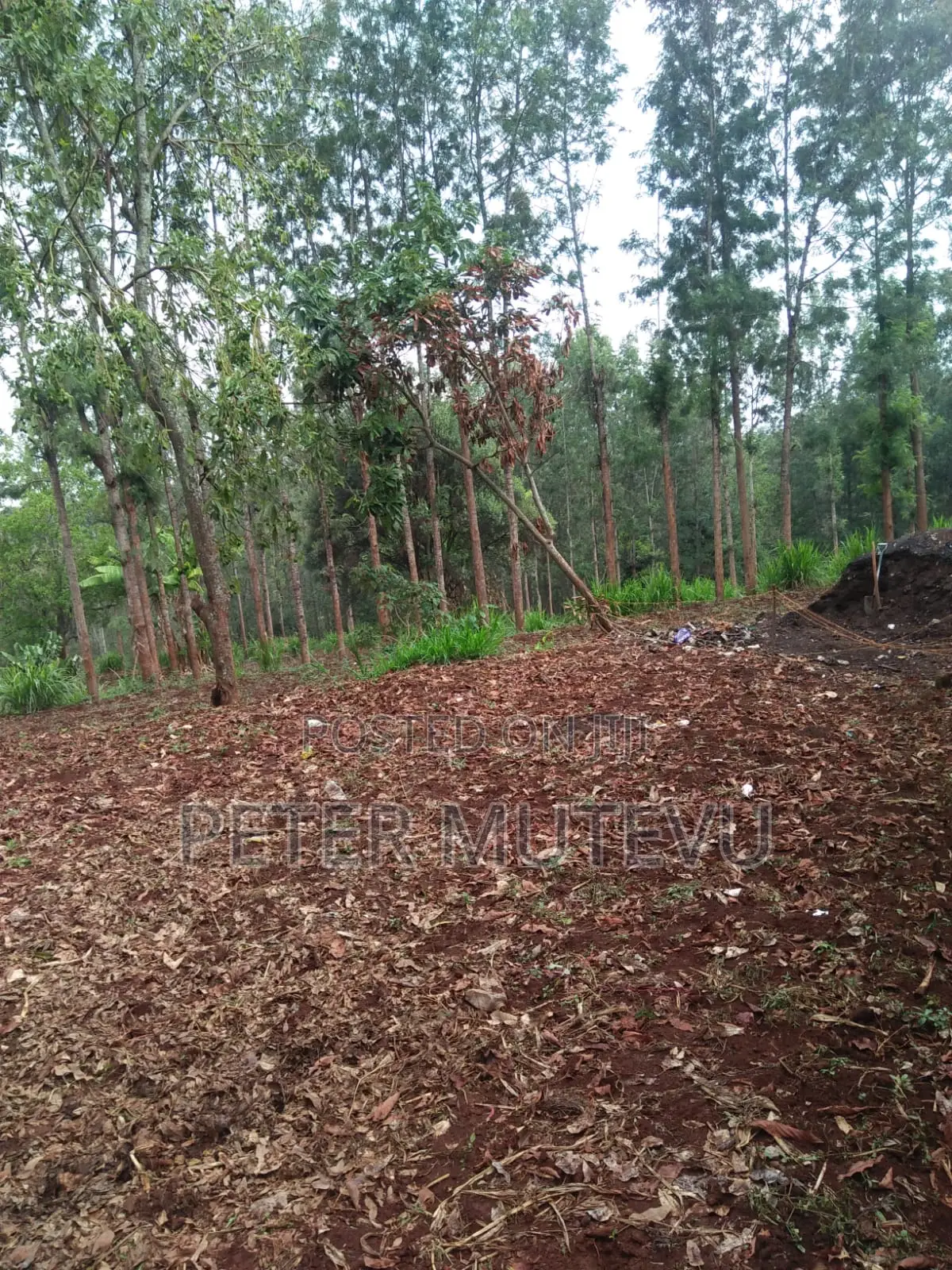 5 Acre Land For Sale In Karen in Karen