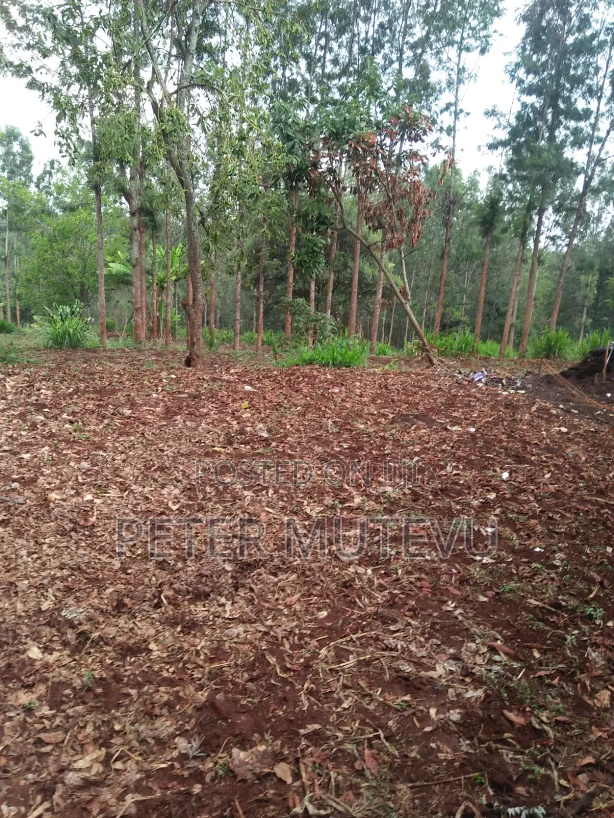 5 Acre Land For Sale In Karen in Karen