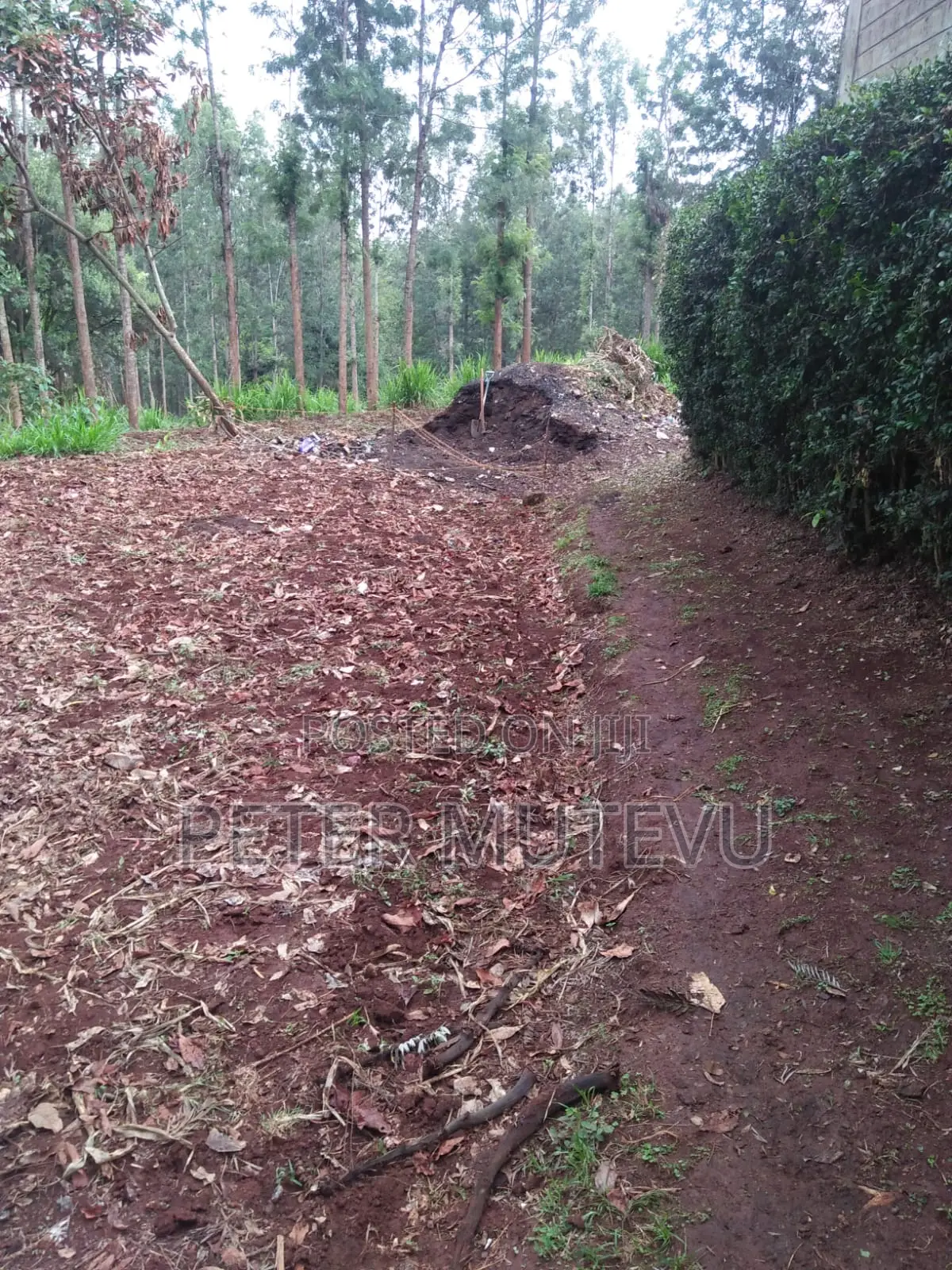5 Acre Land For Sale In Karen in Karen