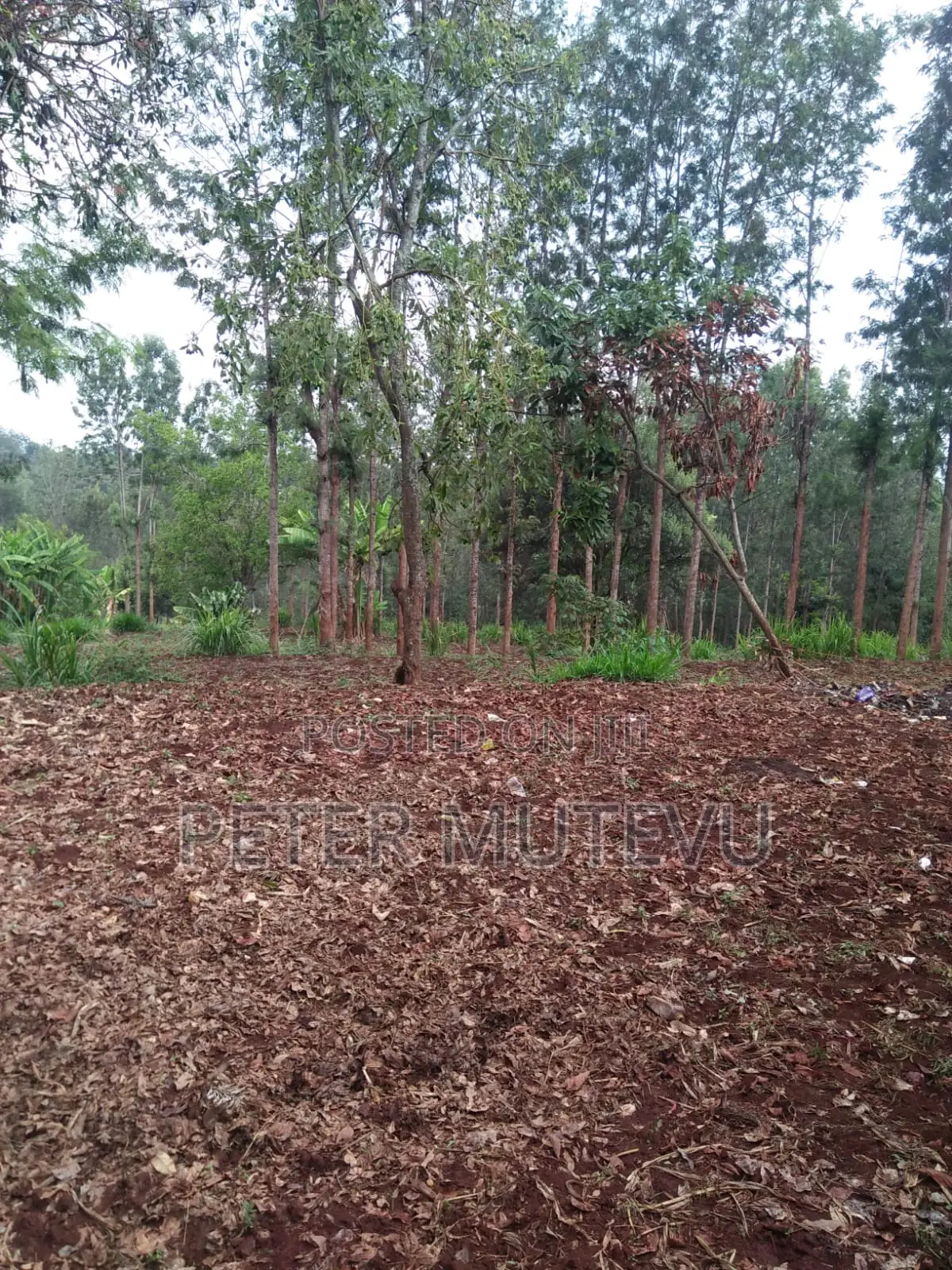 5 Acre Land For Sale In Karen in Karen
