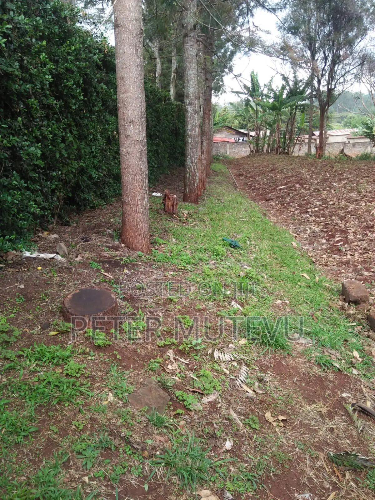 5 Acre Land For Sale In Karen in Karen