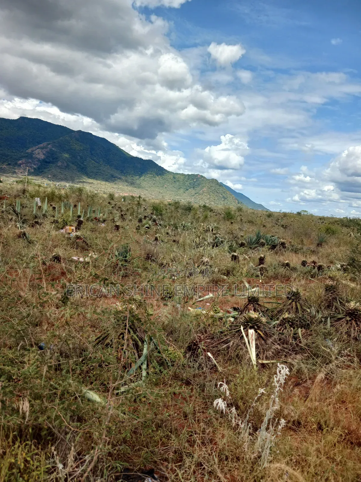 3200 Acres Prime Land for Sale in Voi in Mwatate