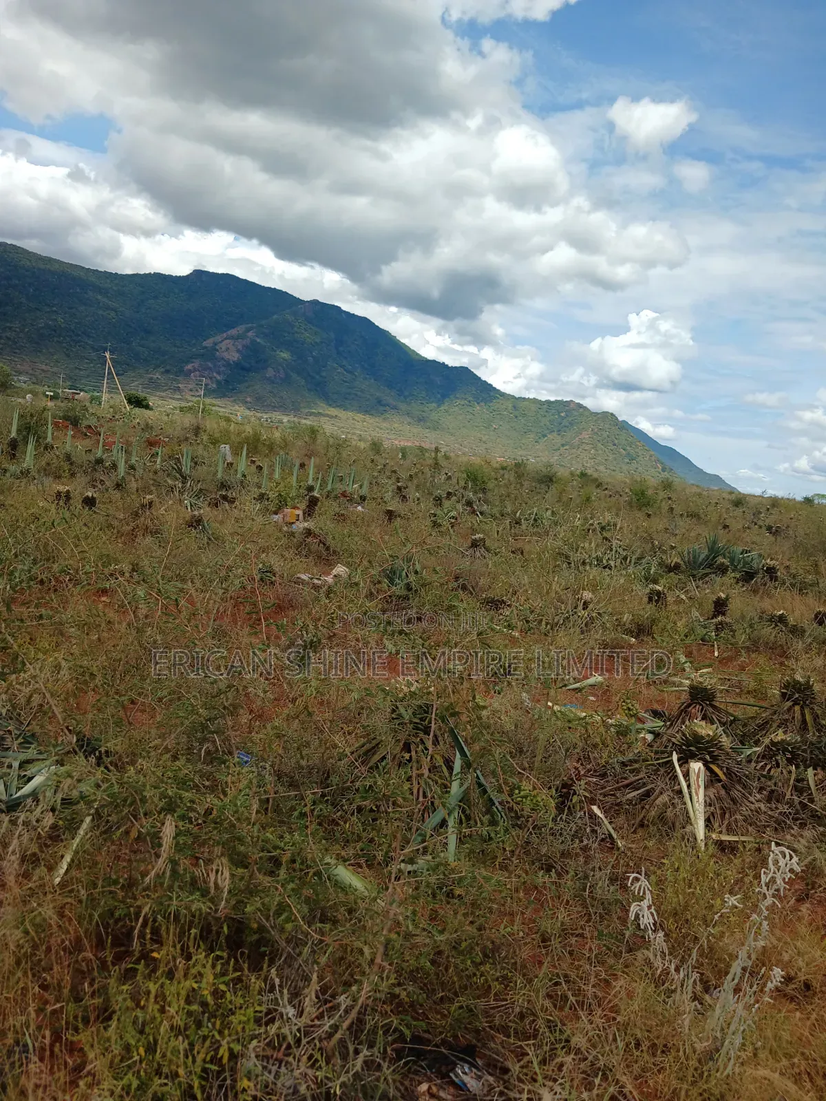 3200 Acres Prime Land for Sale in Voi in Mwatate