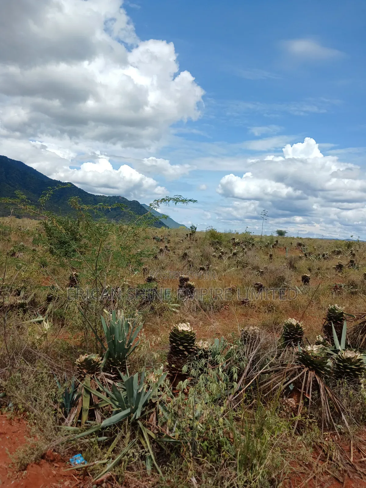 3200 Acres Prime Land for Sale in Voi in Mwatate
