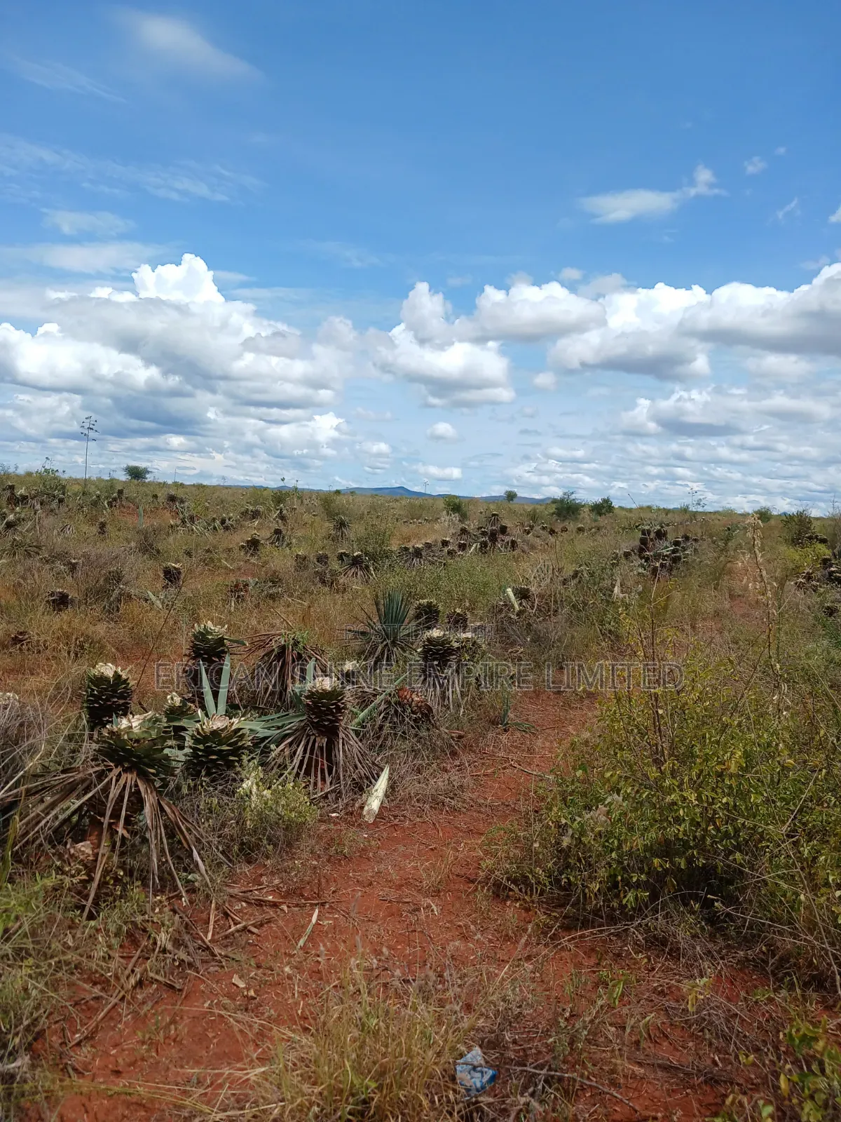 3200 Acres Prime Land for Sale in Voi in Mwatate