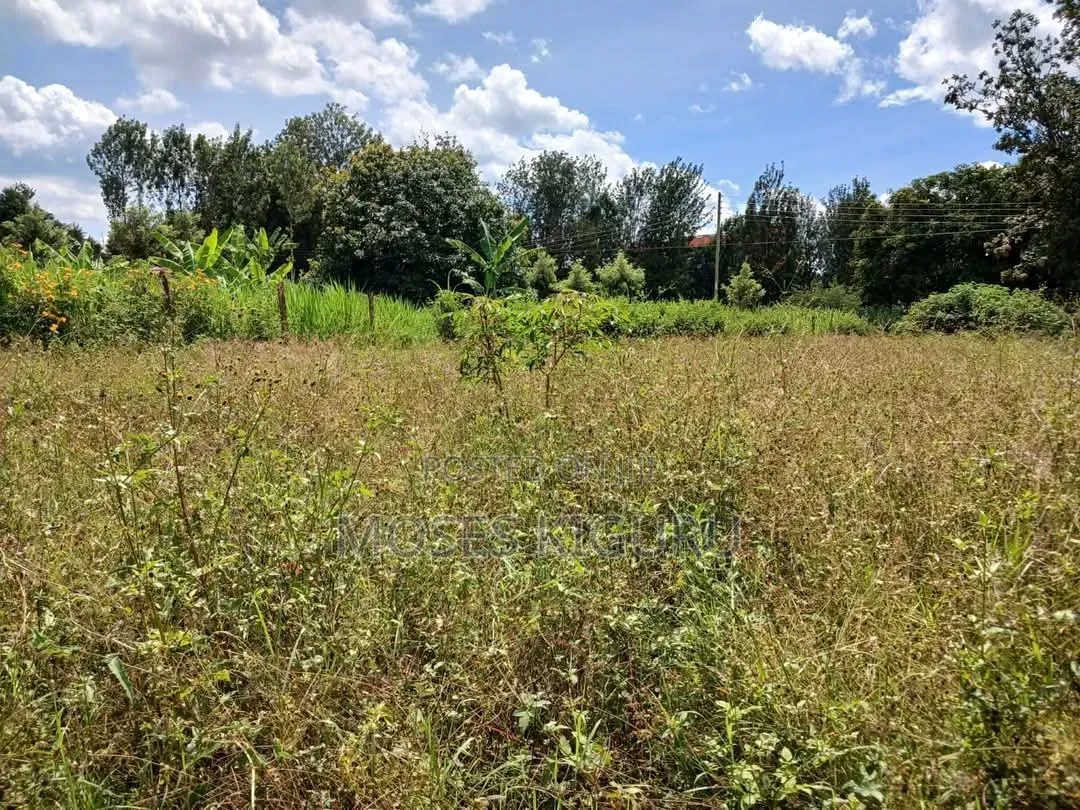 Oj Junction 75x150 Commercial Plot in Old Junction