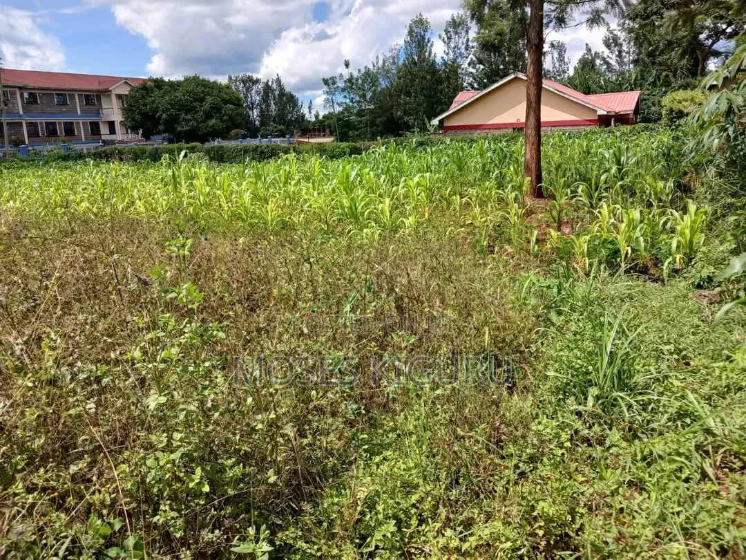 Oj Junction 75x150 Commercial Plot in Old Junction